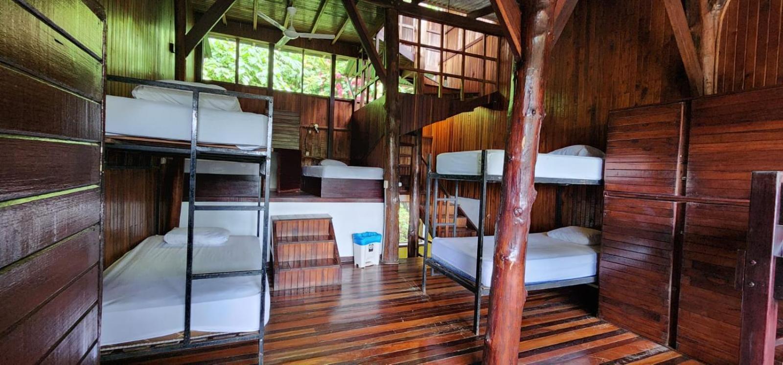 Hostel Plinio *