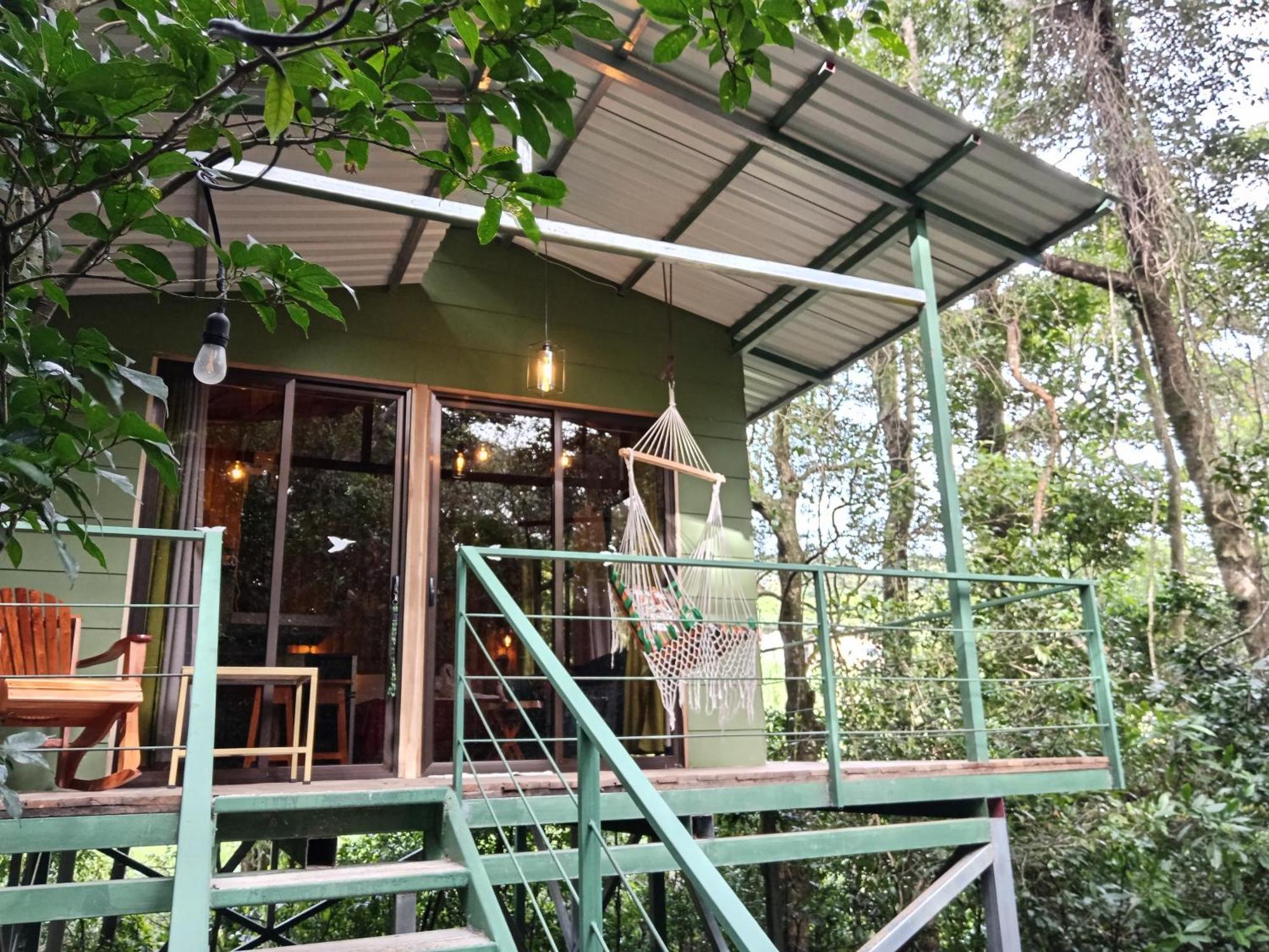 Jungle Living Tree *