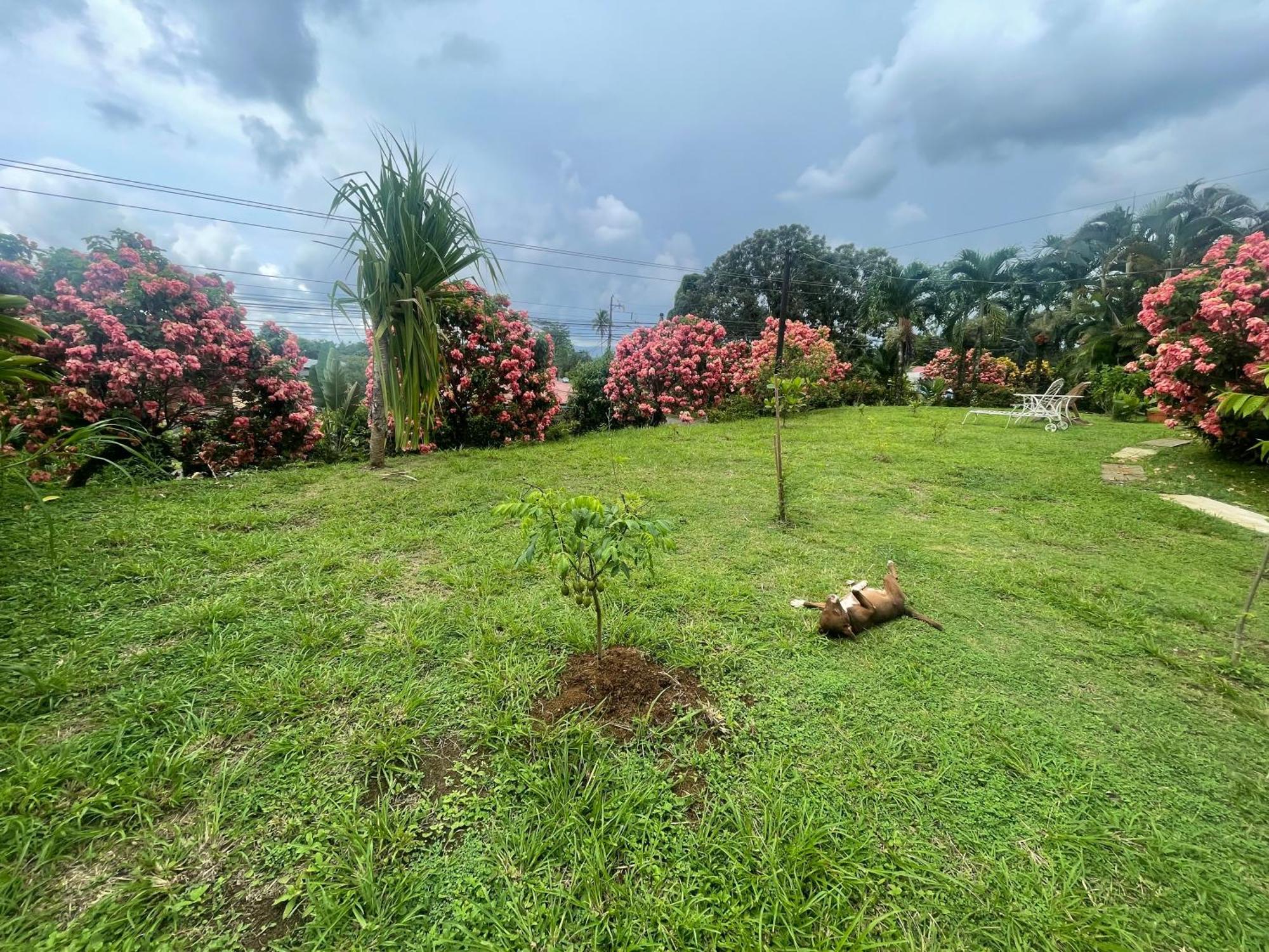 Tierra De Volcanes Hotel La Fortuna