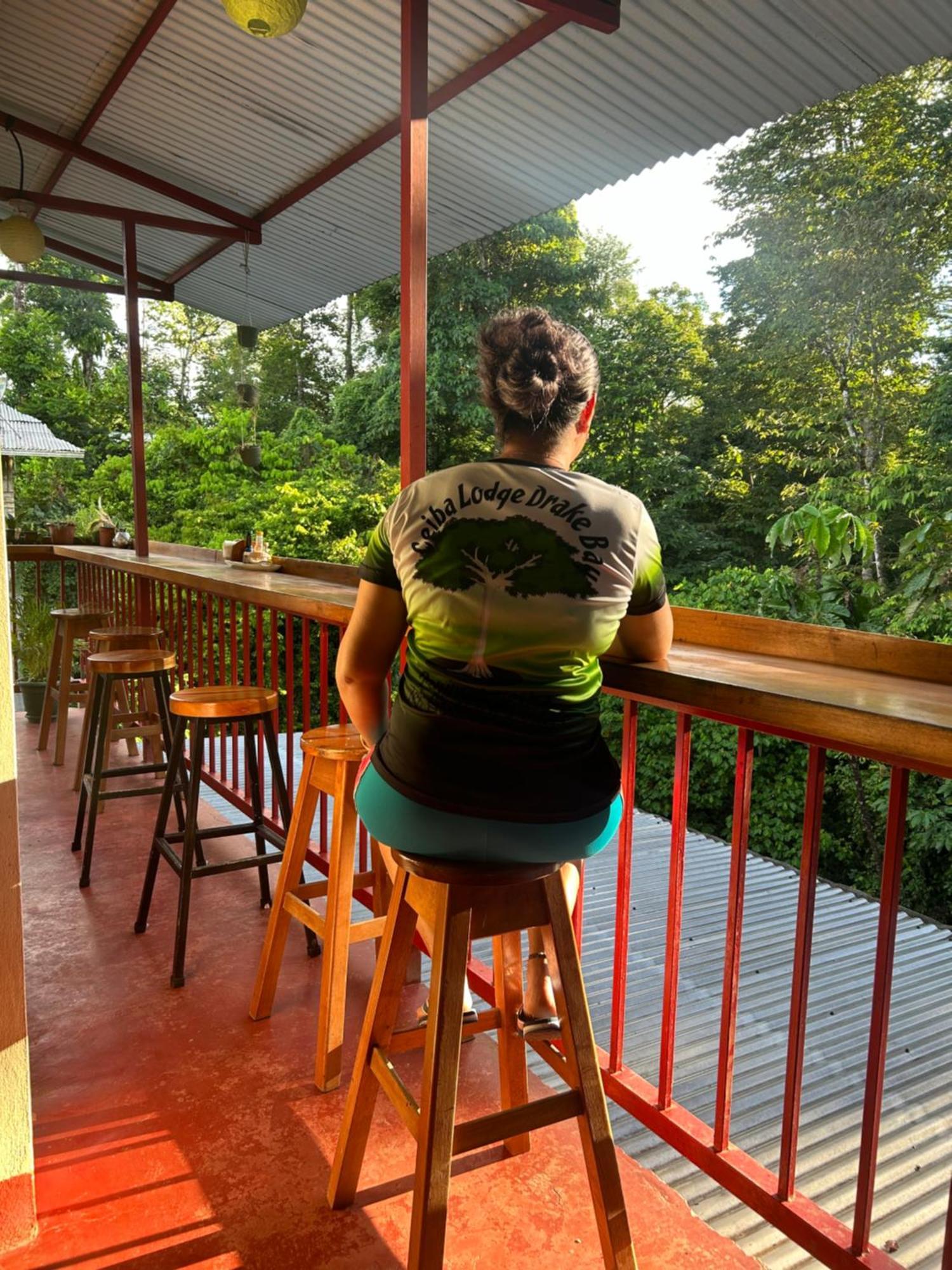 Hotel Ceiba *