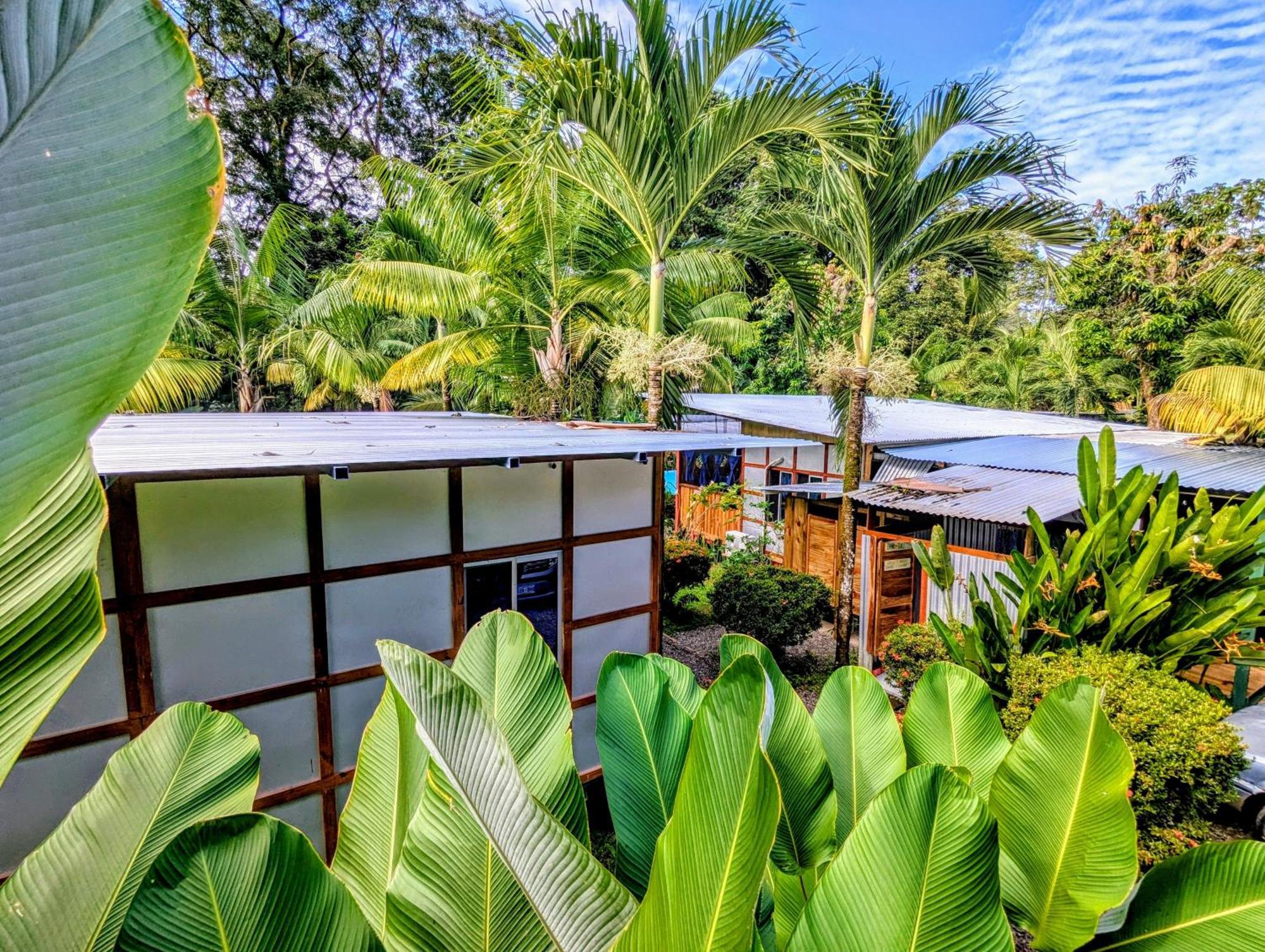 Lodge Arboura Eco Uvita