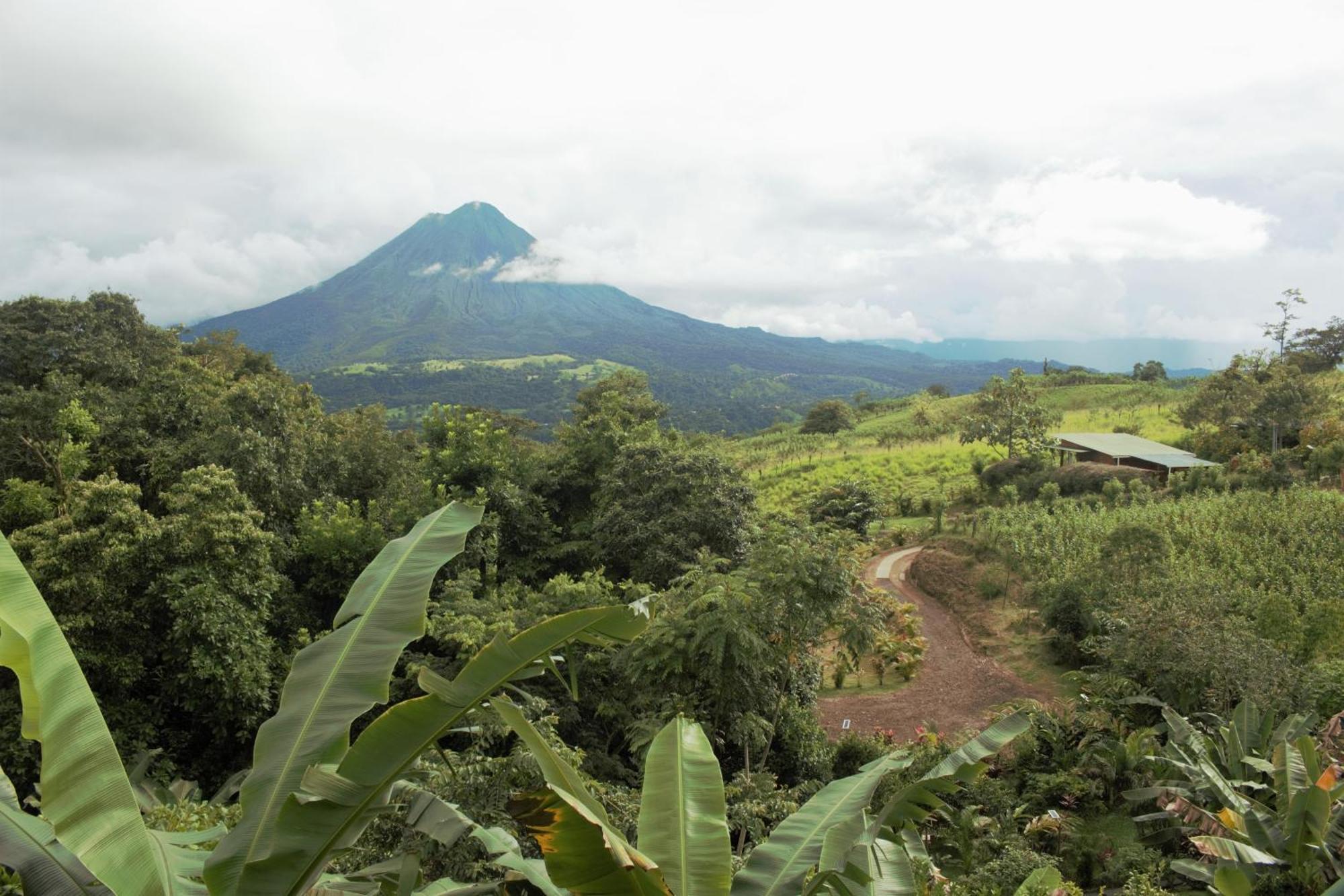 Casa Torre Eco- Lodge La Fortuna