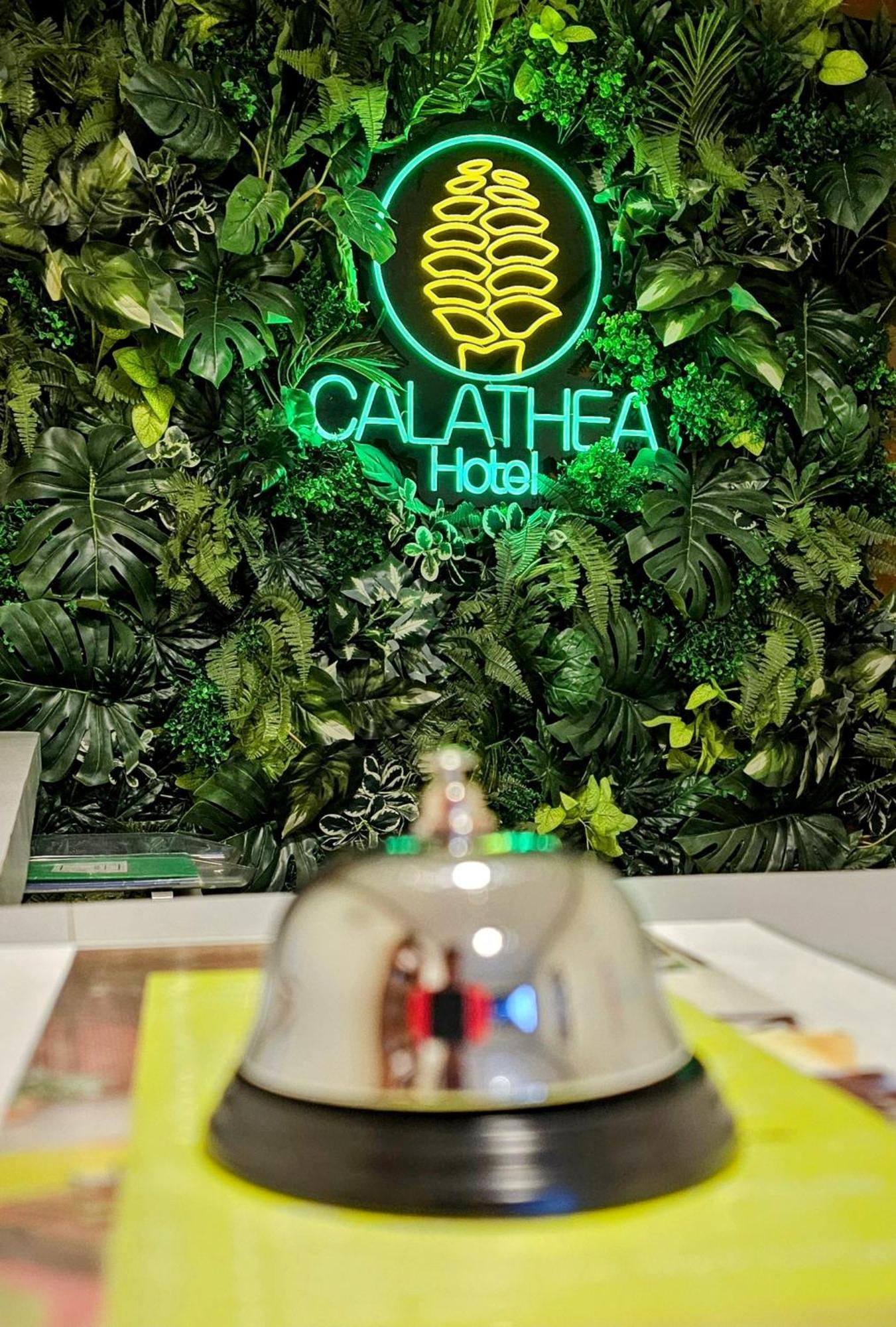 Calathea 3* Monteverde