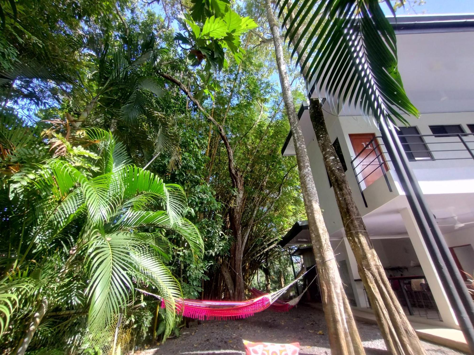 Casajungla *