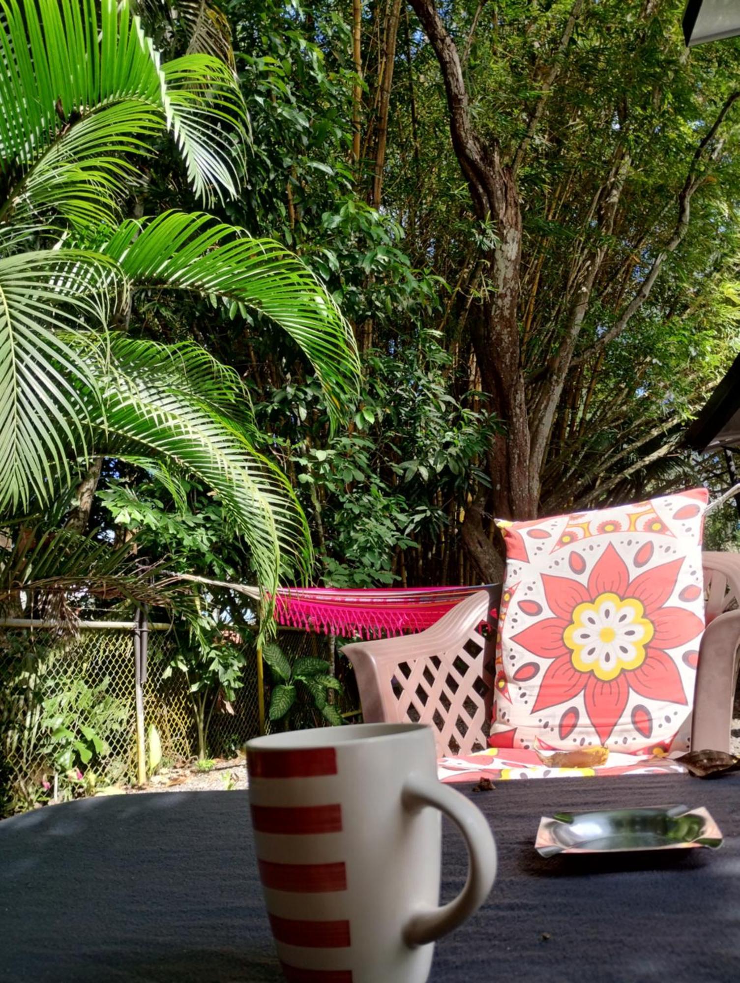 Hostel Casajungla *