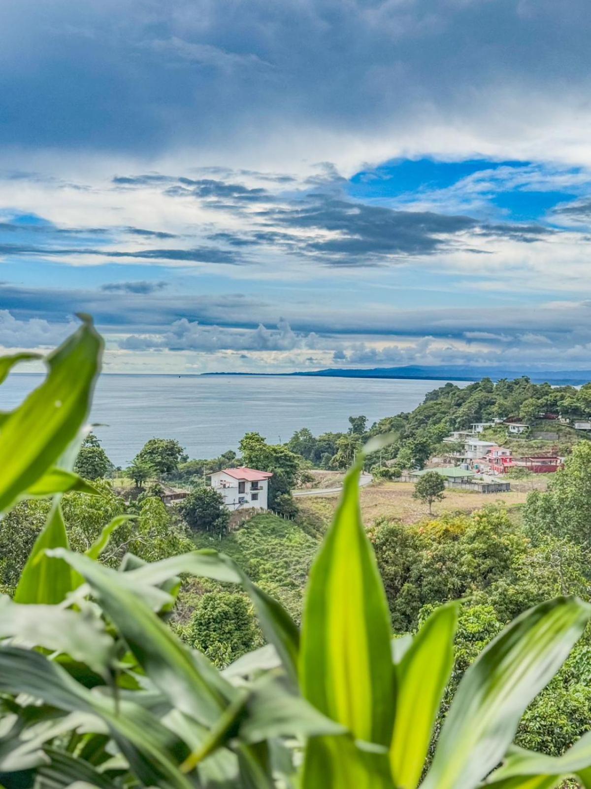 Pura Natura Lodge *