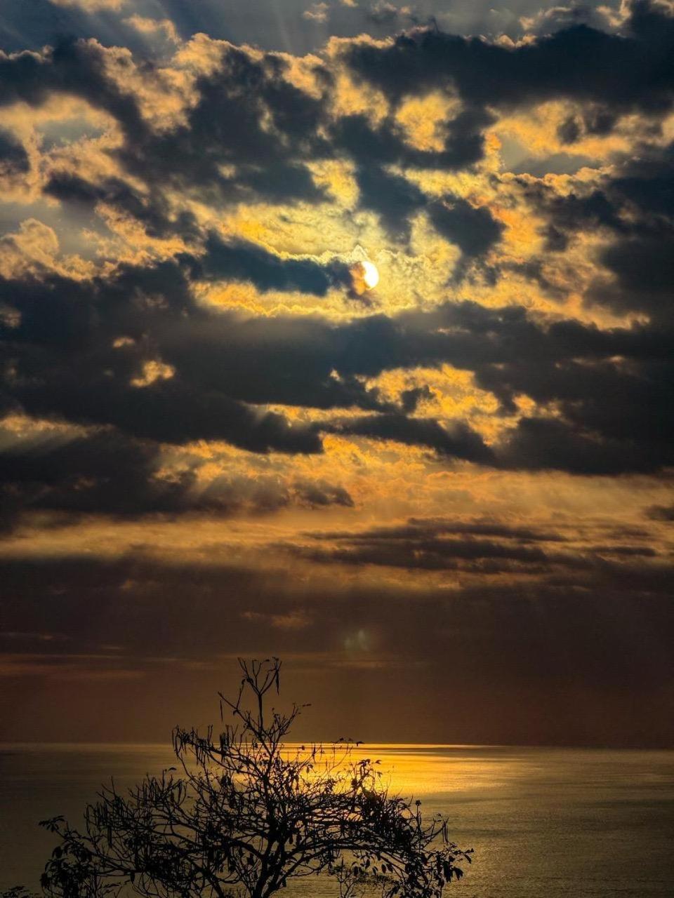 Pura Natura * Manuel Antonio