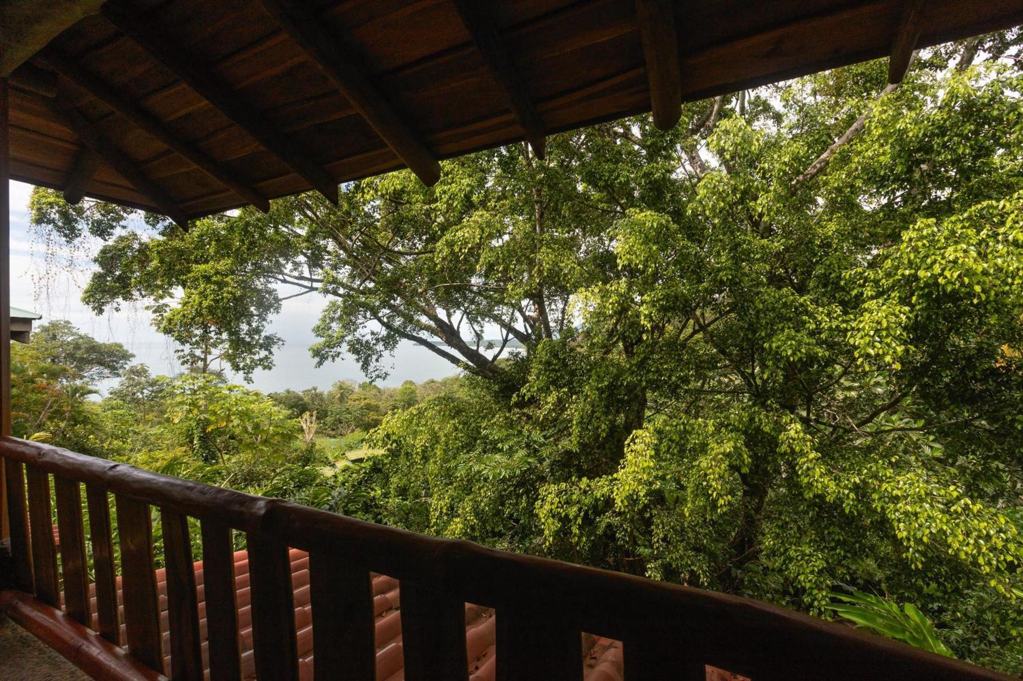 La Cusinga Uvita