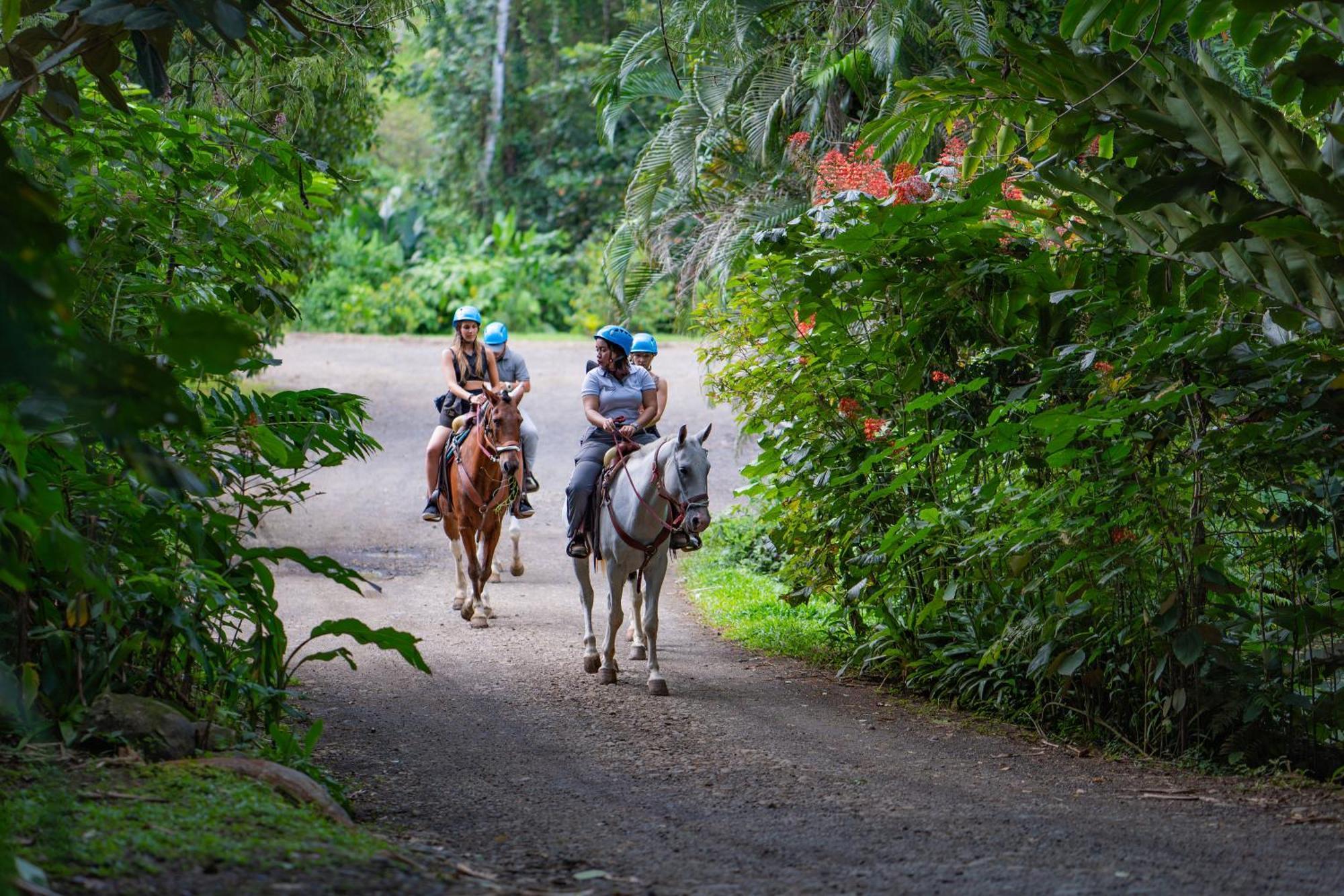 Hotel Chachagua Rainforest & Hot Springs La Fortuna