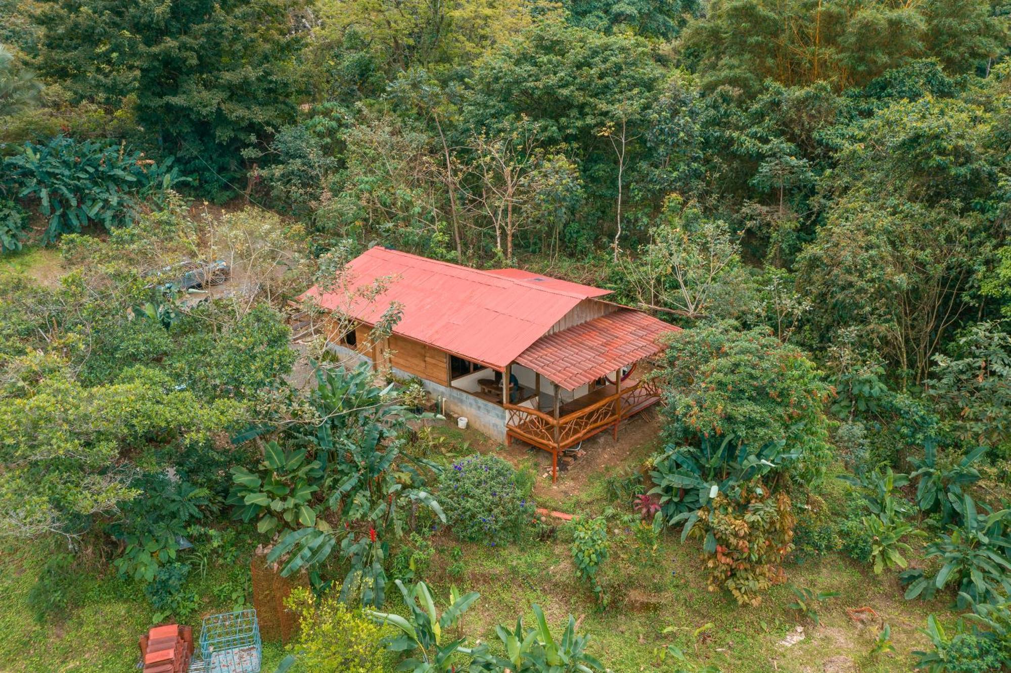 La Tigra Rainforest Lodge