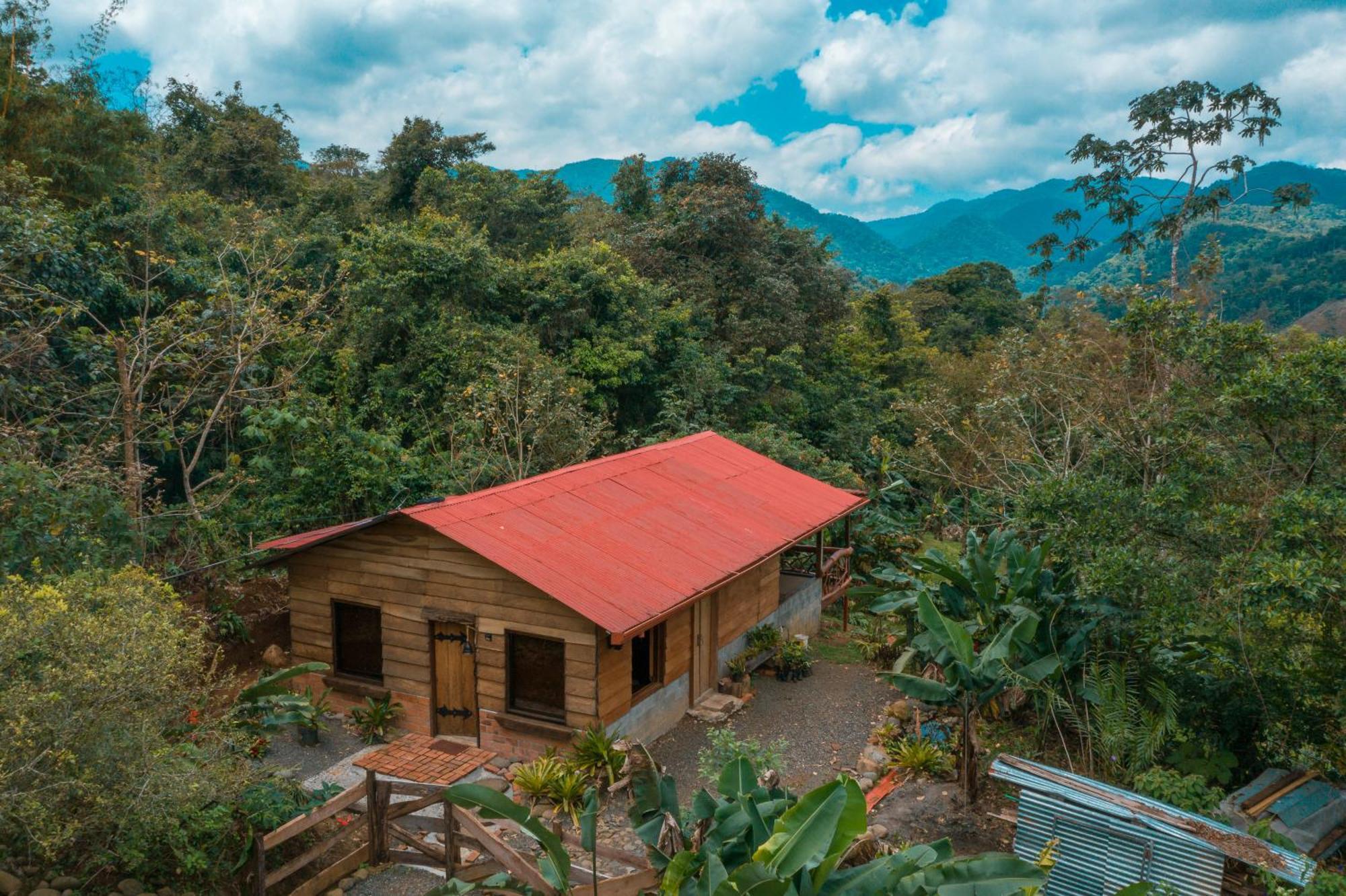 La Tigra Rainforest * La Fortuna