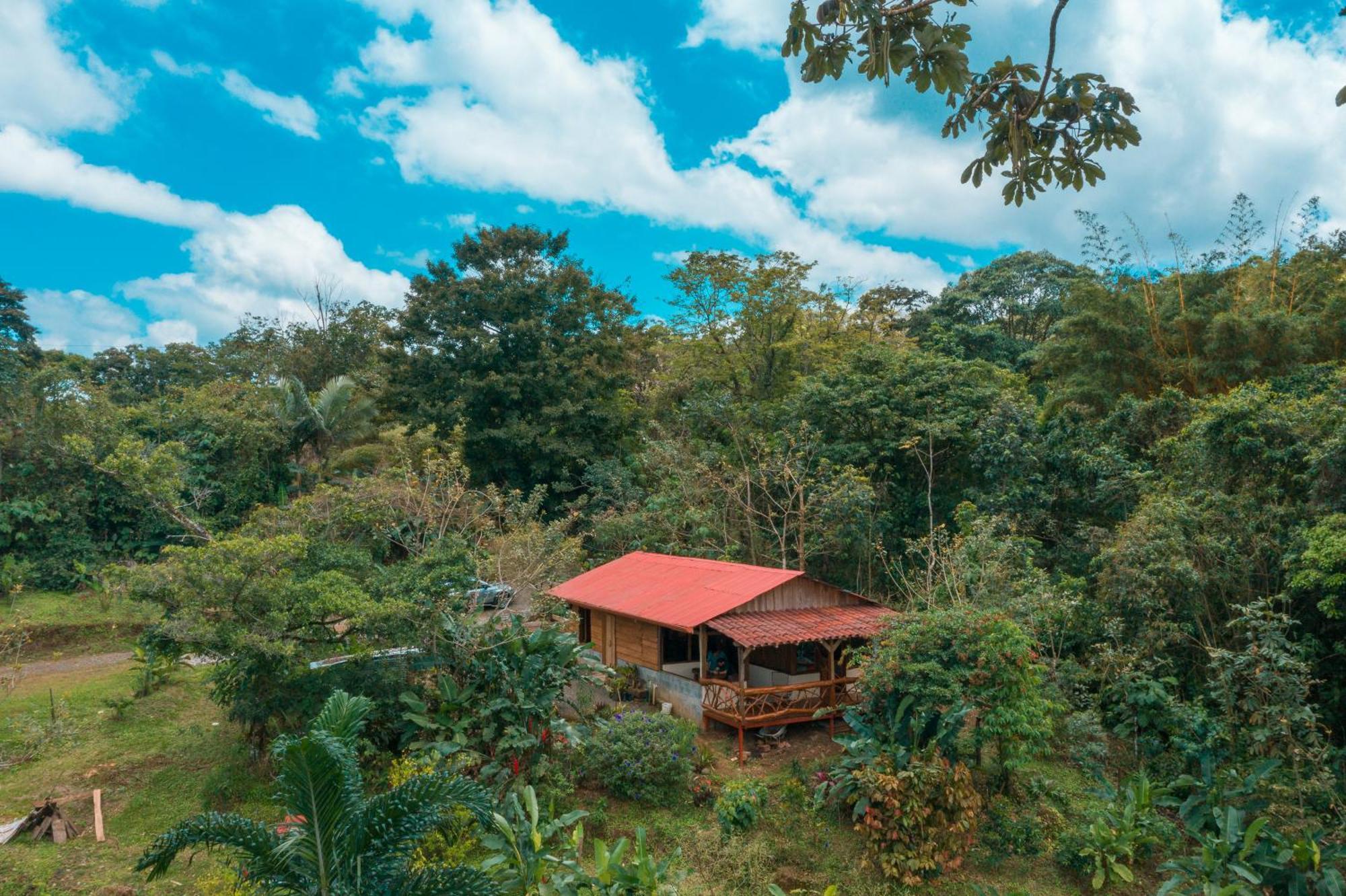 Lodge La Tigra Rainforest *