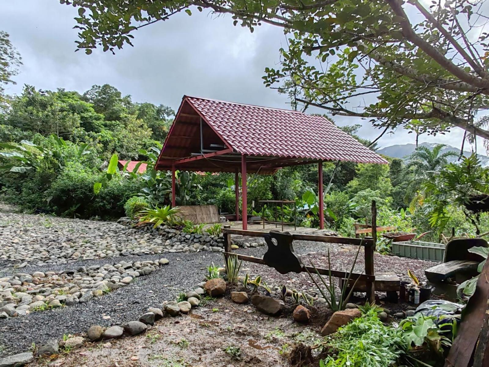 Lodge La Tigra Rainforest *