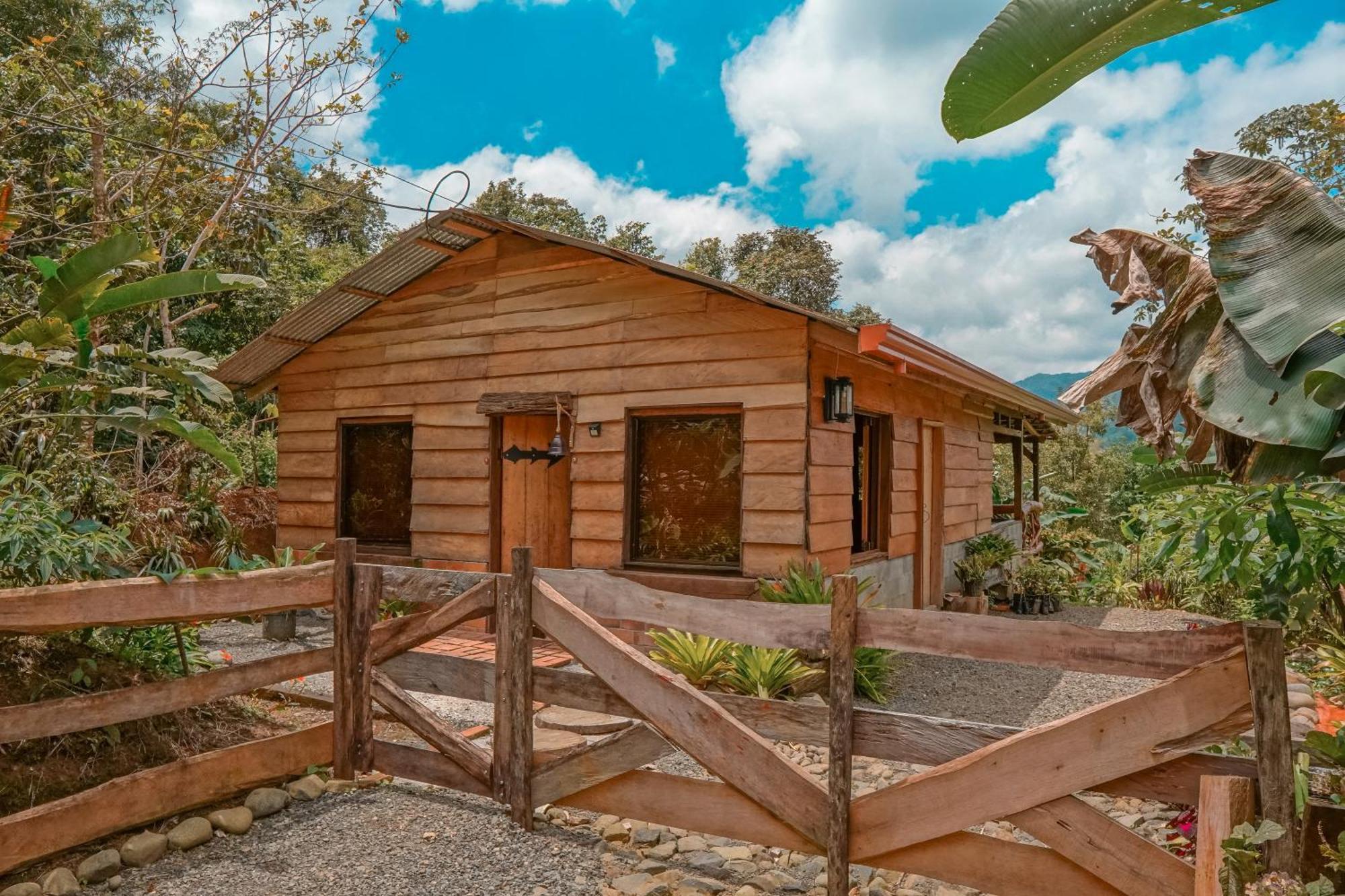 Lodge La Tigra Rainforest La Fortuna