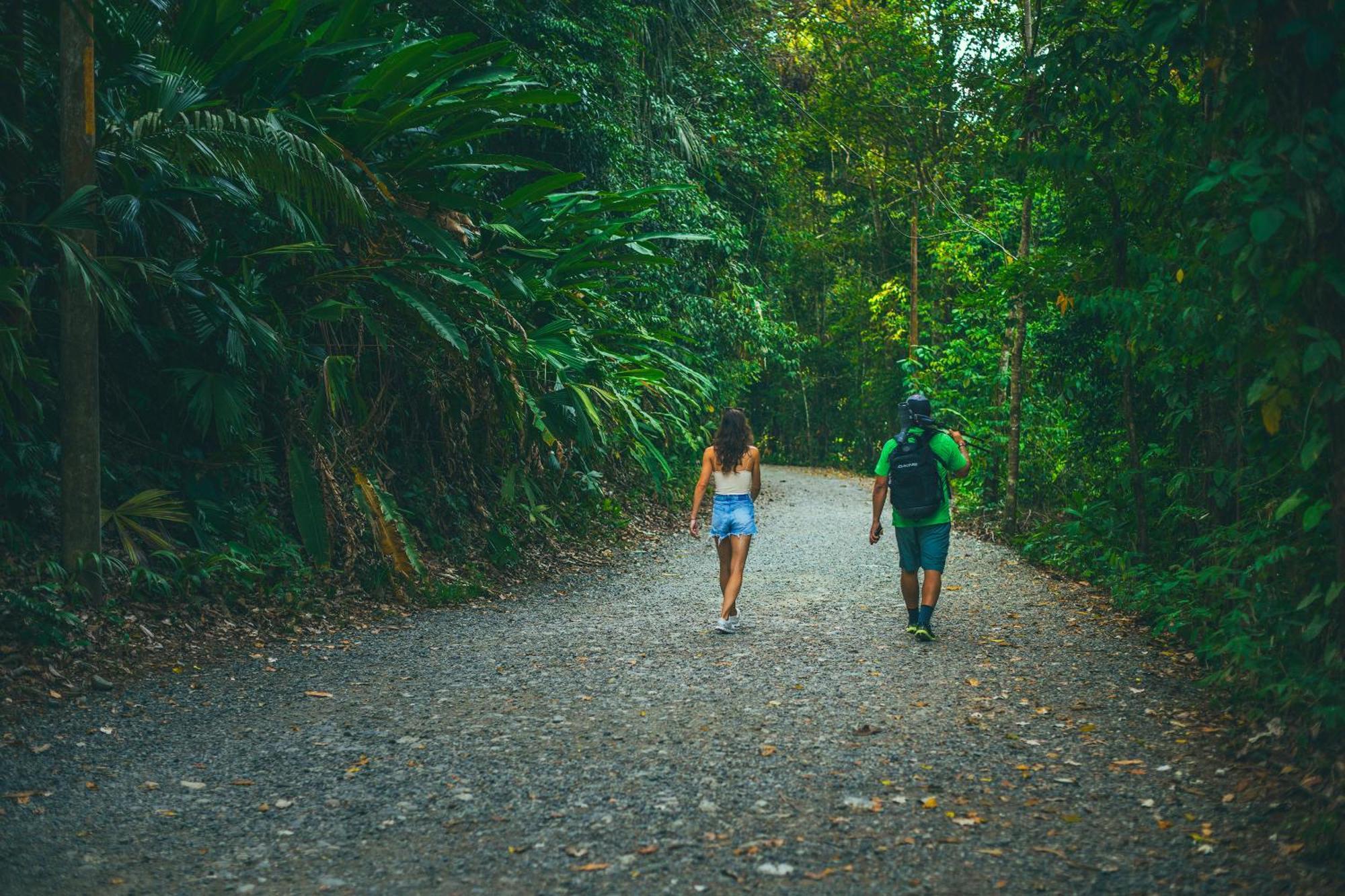 Altos Manuel Antonio