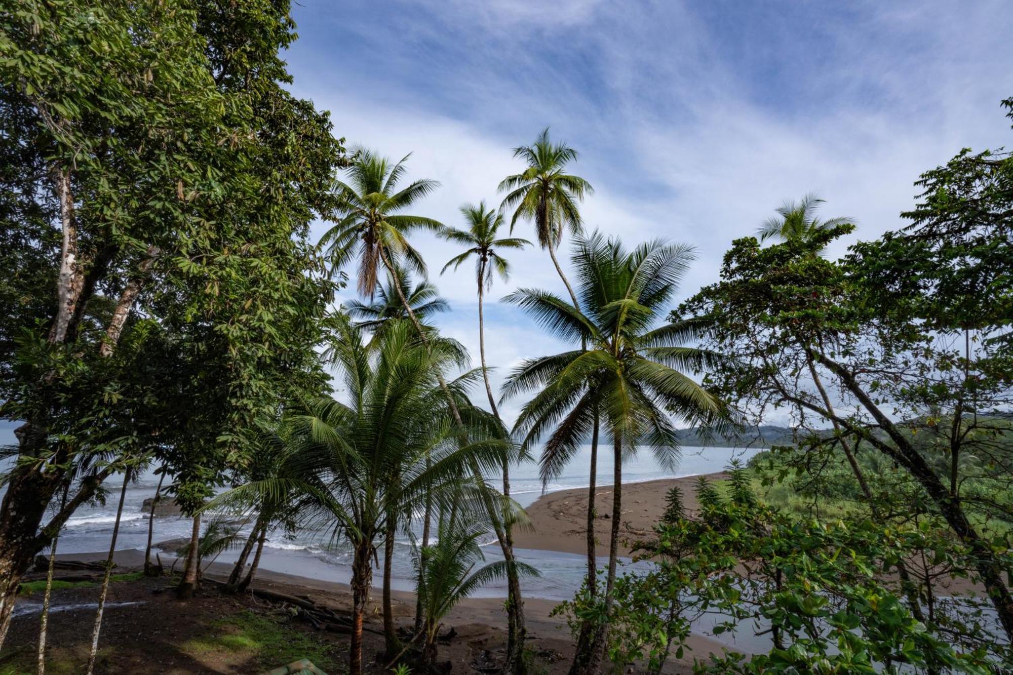 Pirate Cove 4*