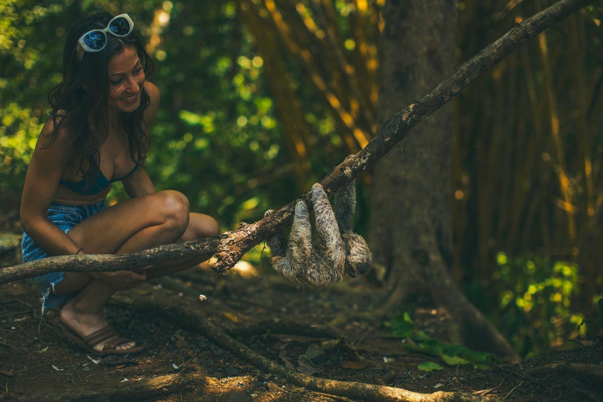 Jungle Vista Boutique 4* Manuel Antonio