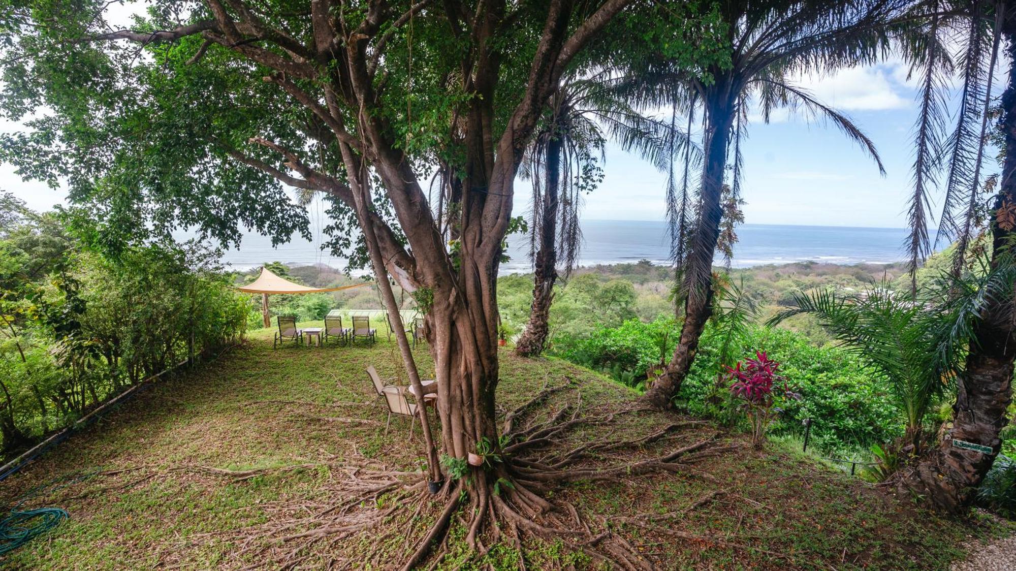 Hotel Buenos Aires Playa Santa Teresa (Puntarenas)