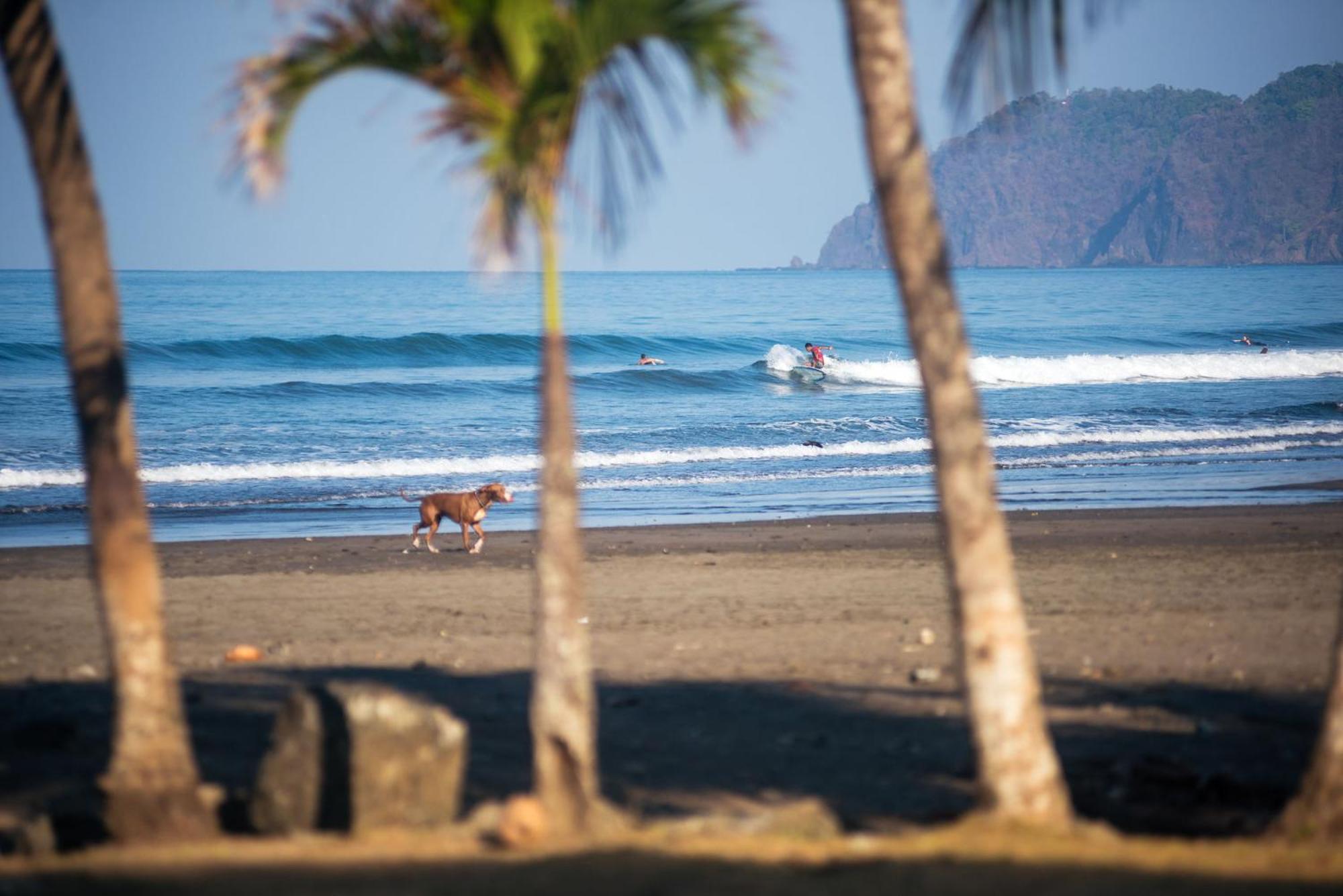 Hotel Break & Cr Surf Camp 3*