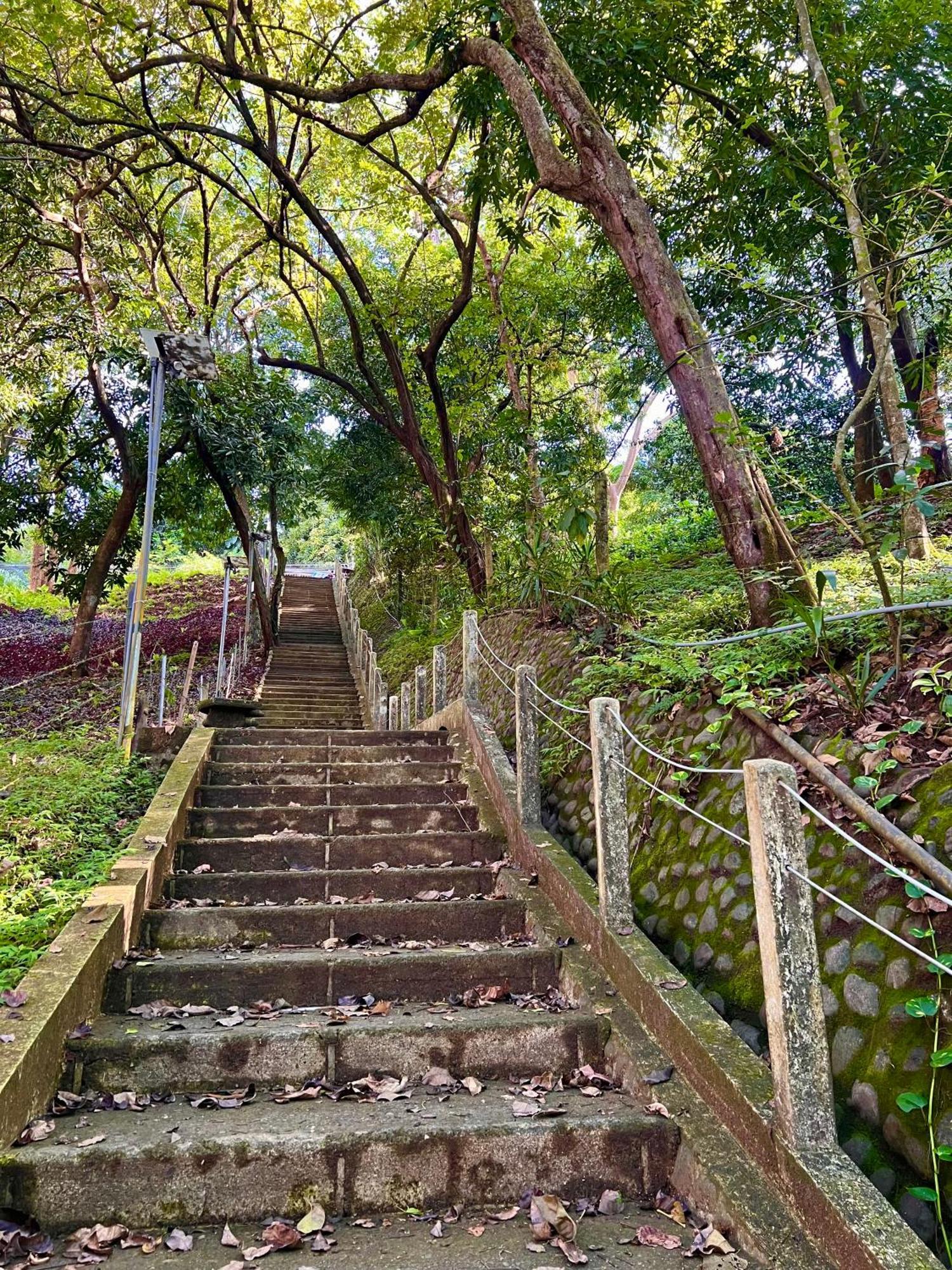 Hotel Zen Zaru Jungle Retreat Wildlife, Spa & Sea Views Quepos