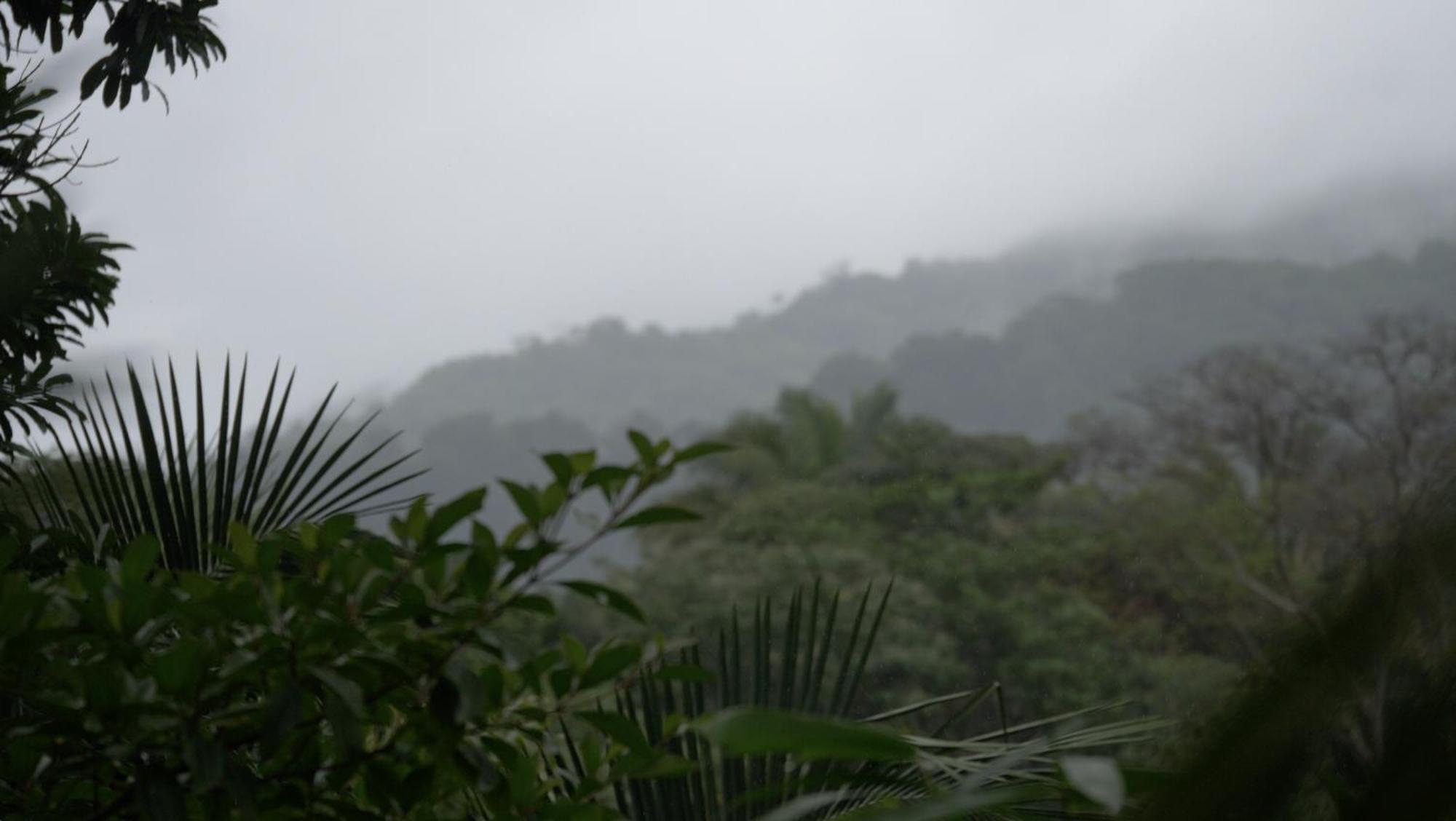 Casa Oh - Oceanview * Uvita