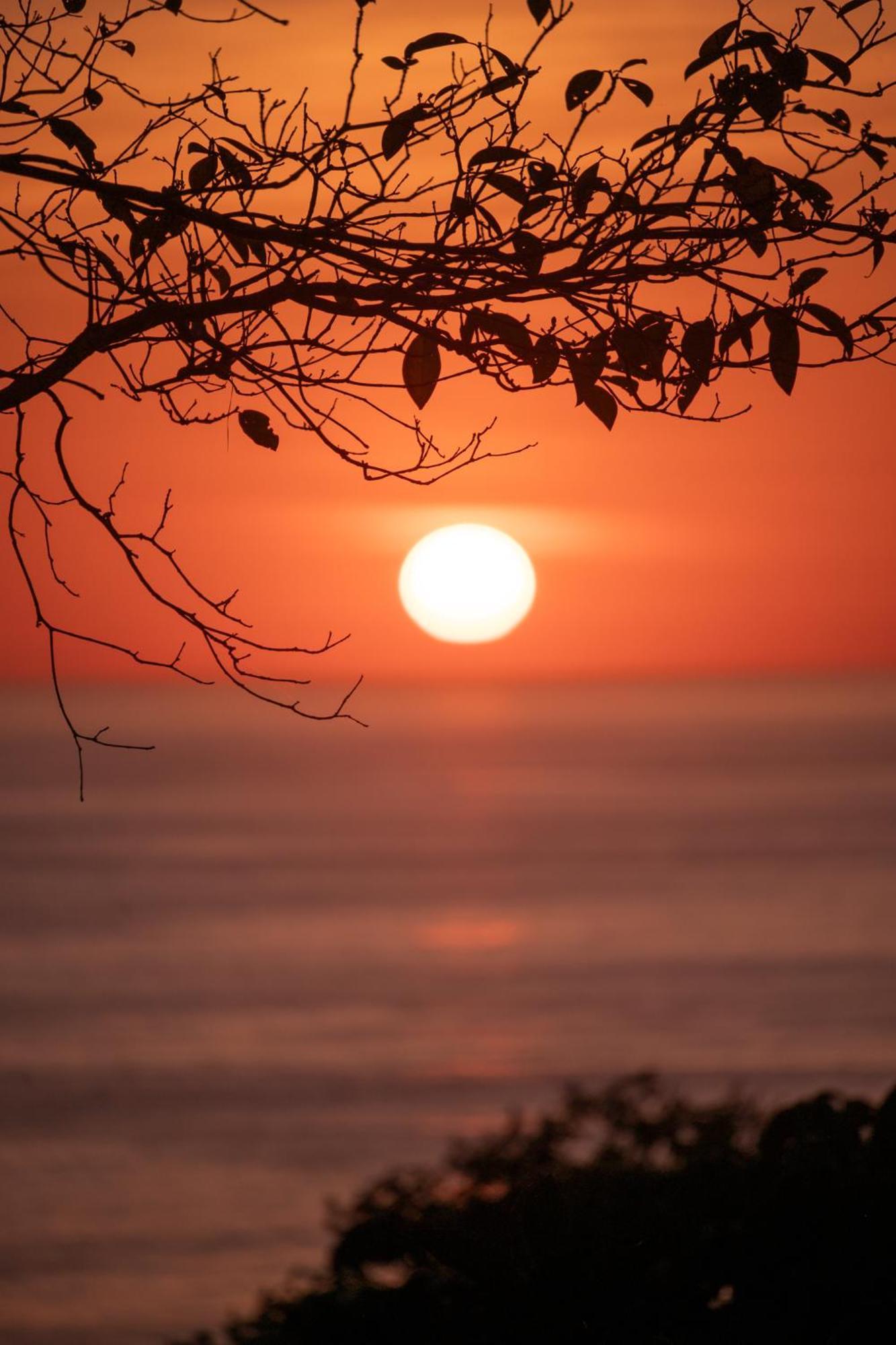 Casa Oh - Oceanview * Uvita