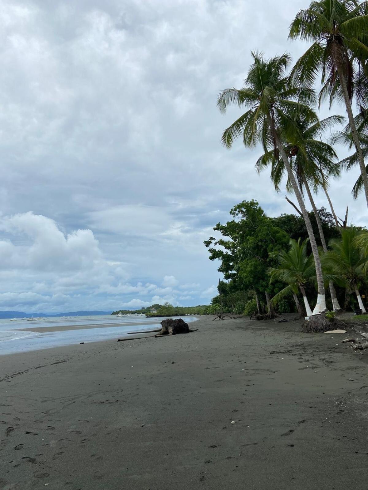2-bedroom Rainforest & Balcony At Botanika Apartment Puerto Jimenez