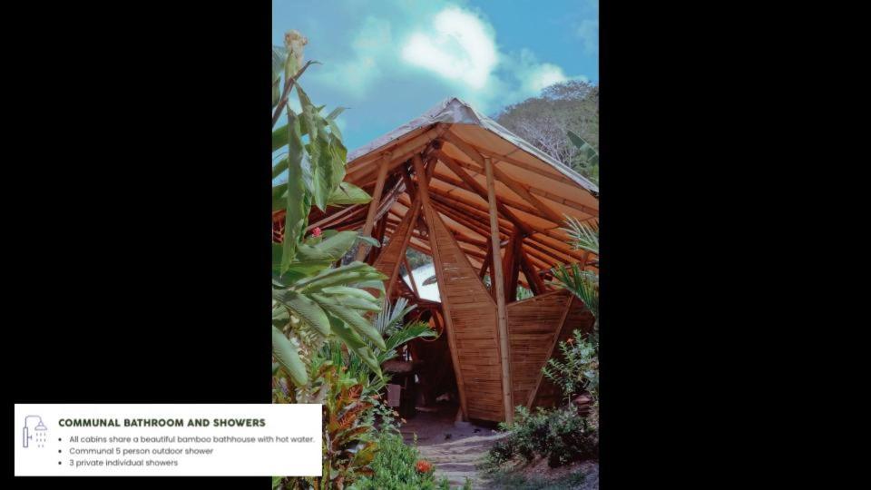 Resort Jungle Gayborhood