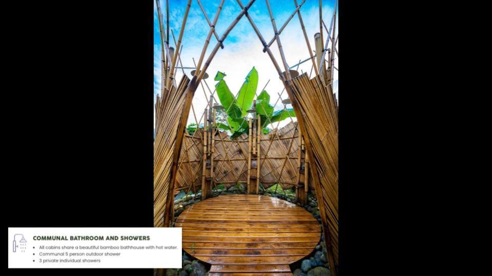 Resort Jungle Gayborhood