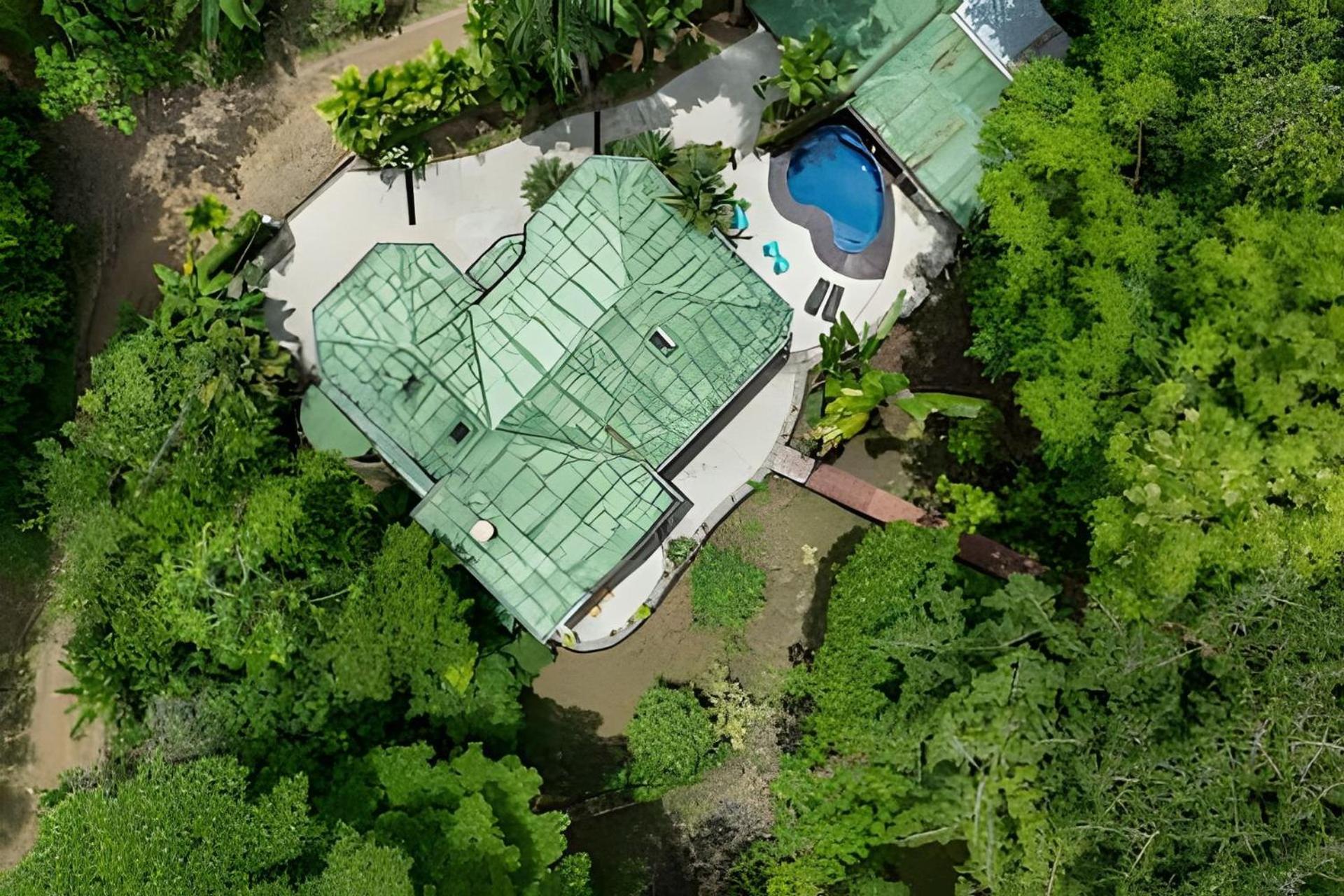 The Jungle Bed & Breakfast Dominicalito