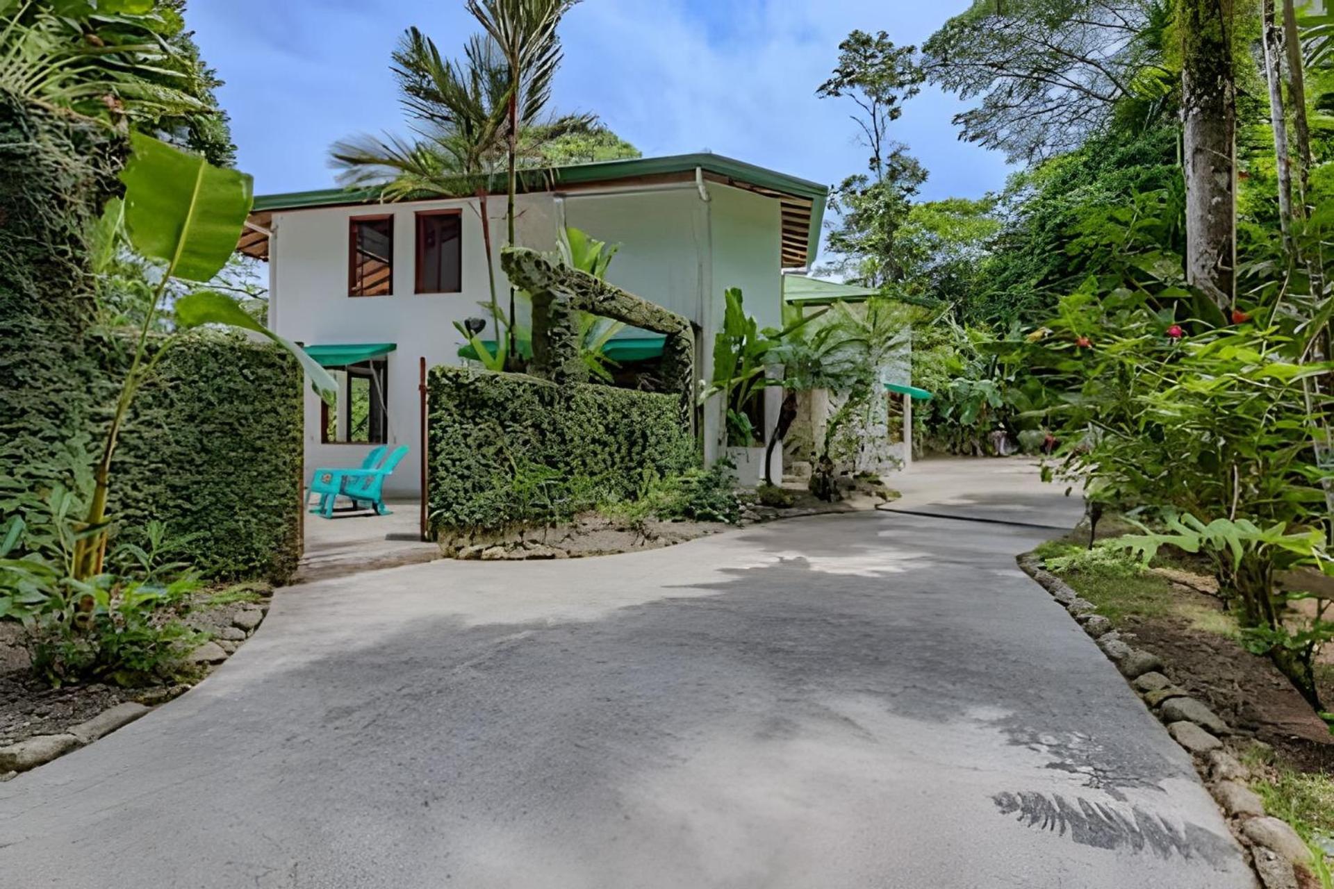 Bed & Breakfast The Jungle