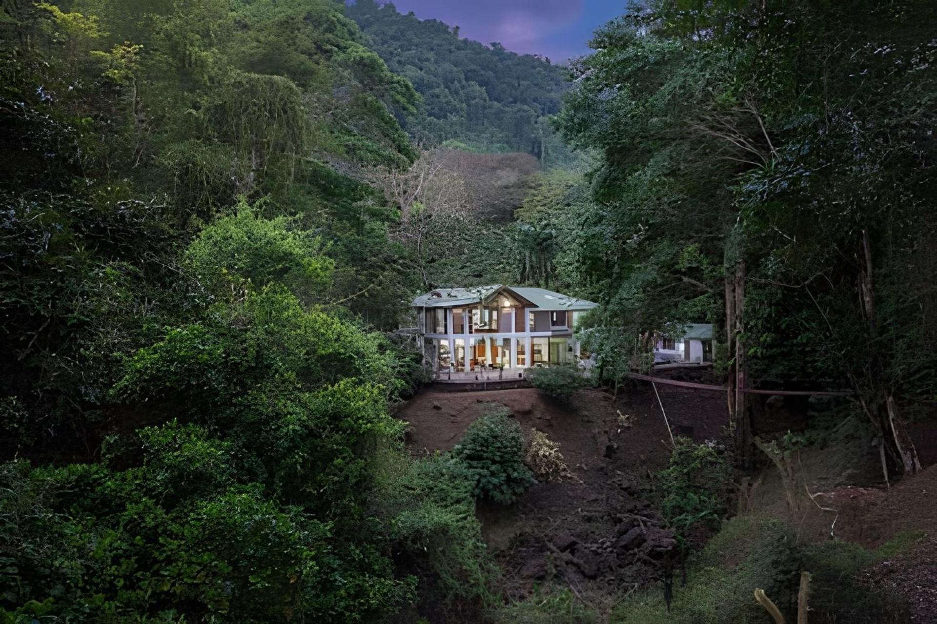 The Jungle Bed & Breakfast *