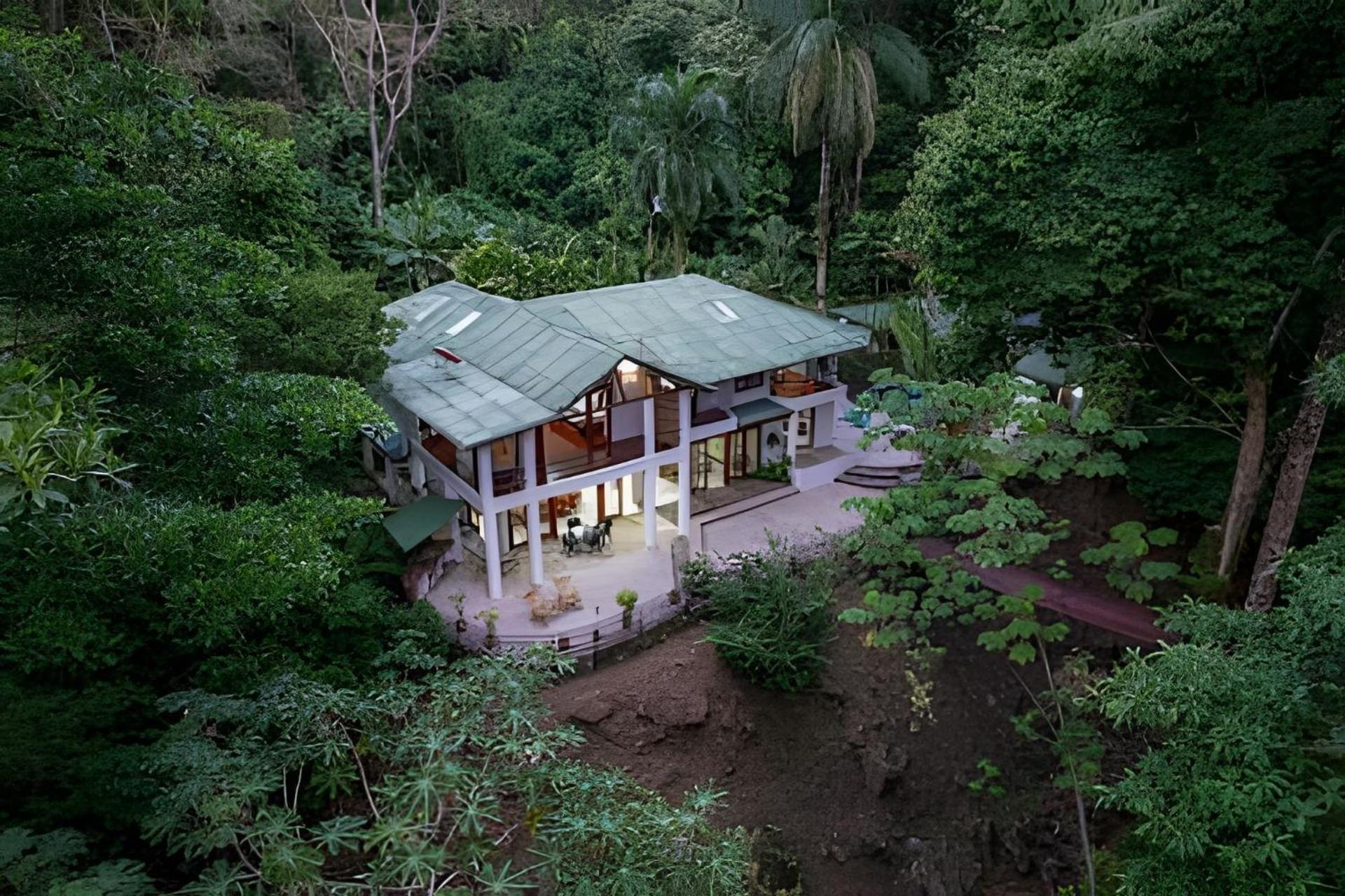 The Jungle Dominicalito