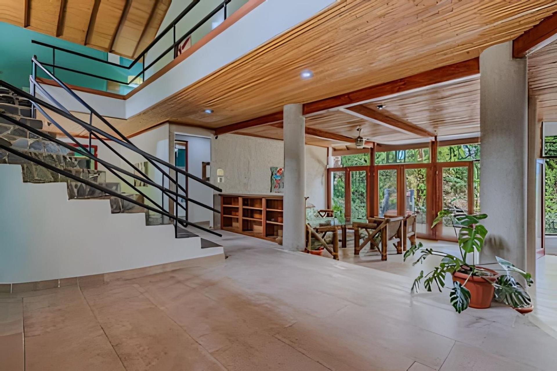 Bed & Breakfast The Jungle