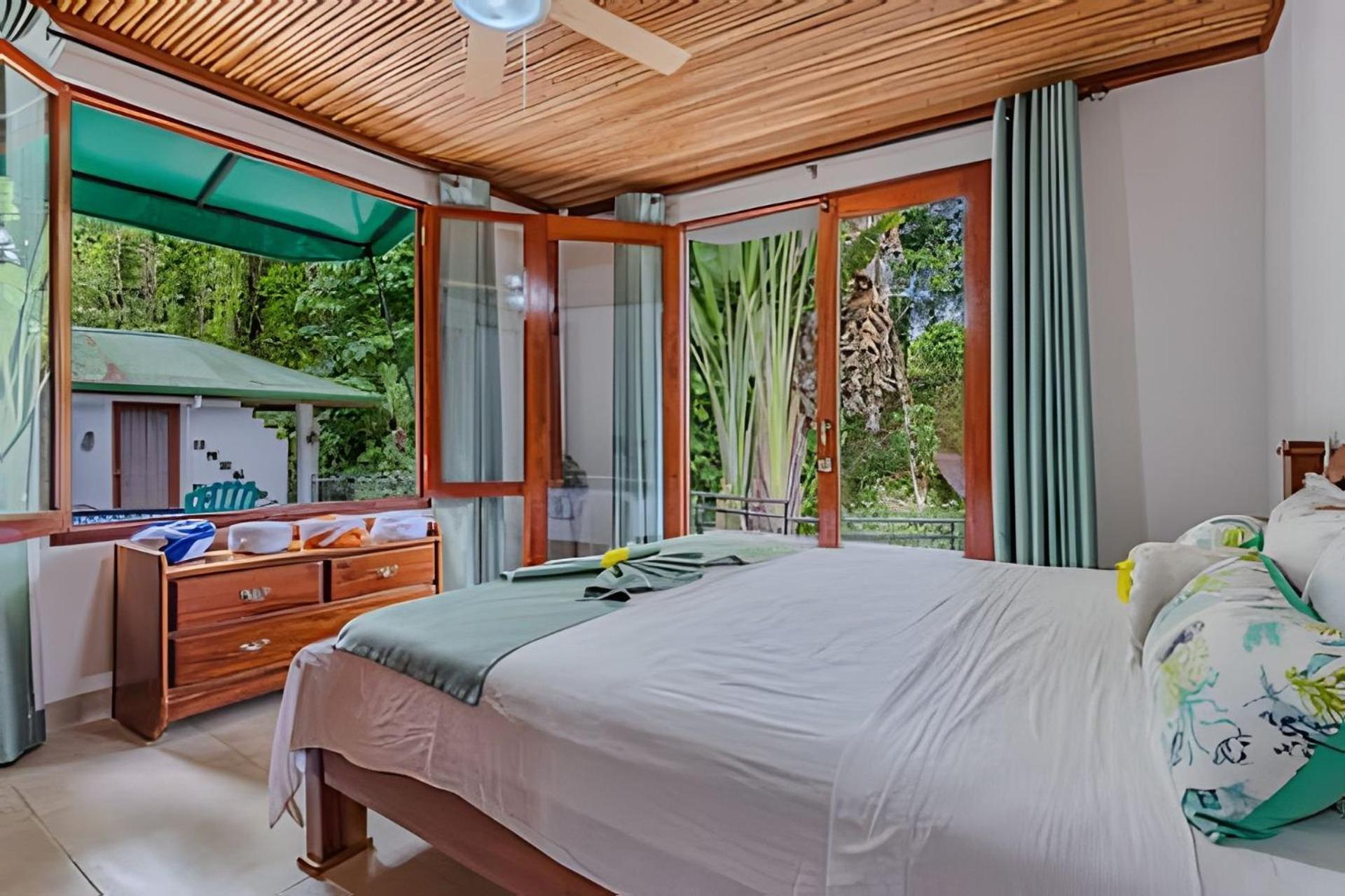 The Jungle Bed & Breakfast Dominicalito