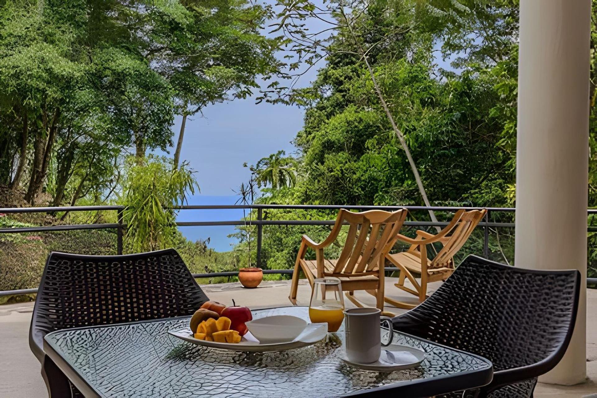 Bed & Breakfast The Jungle