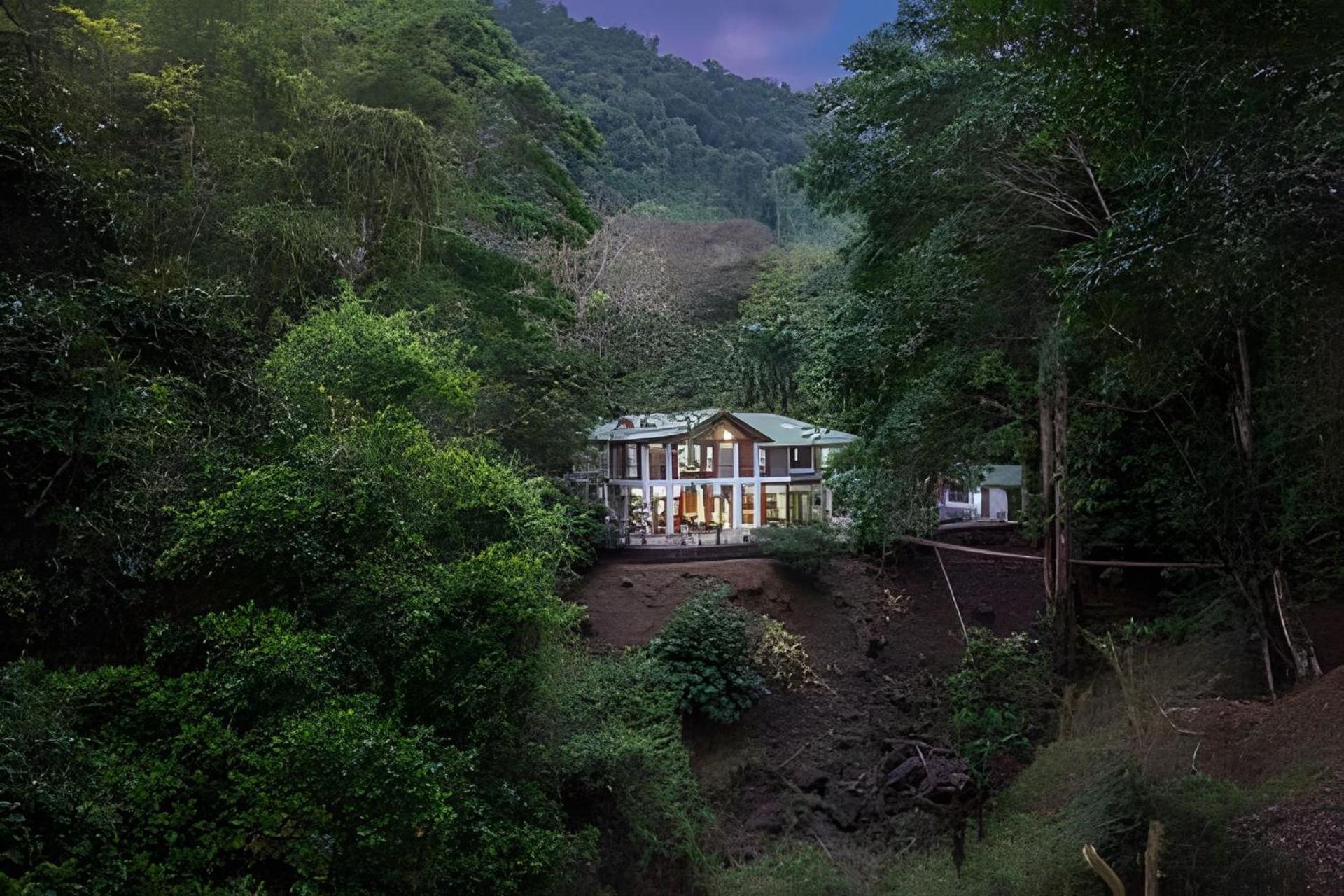 Bed & Breakfast The Jungle *