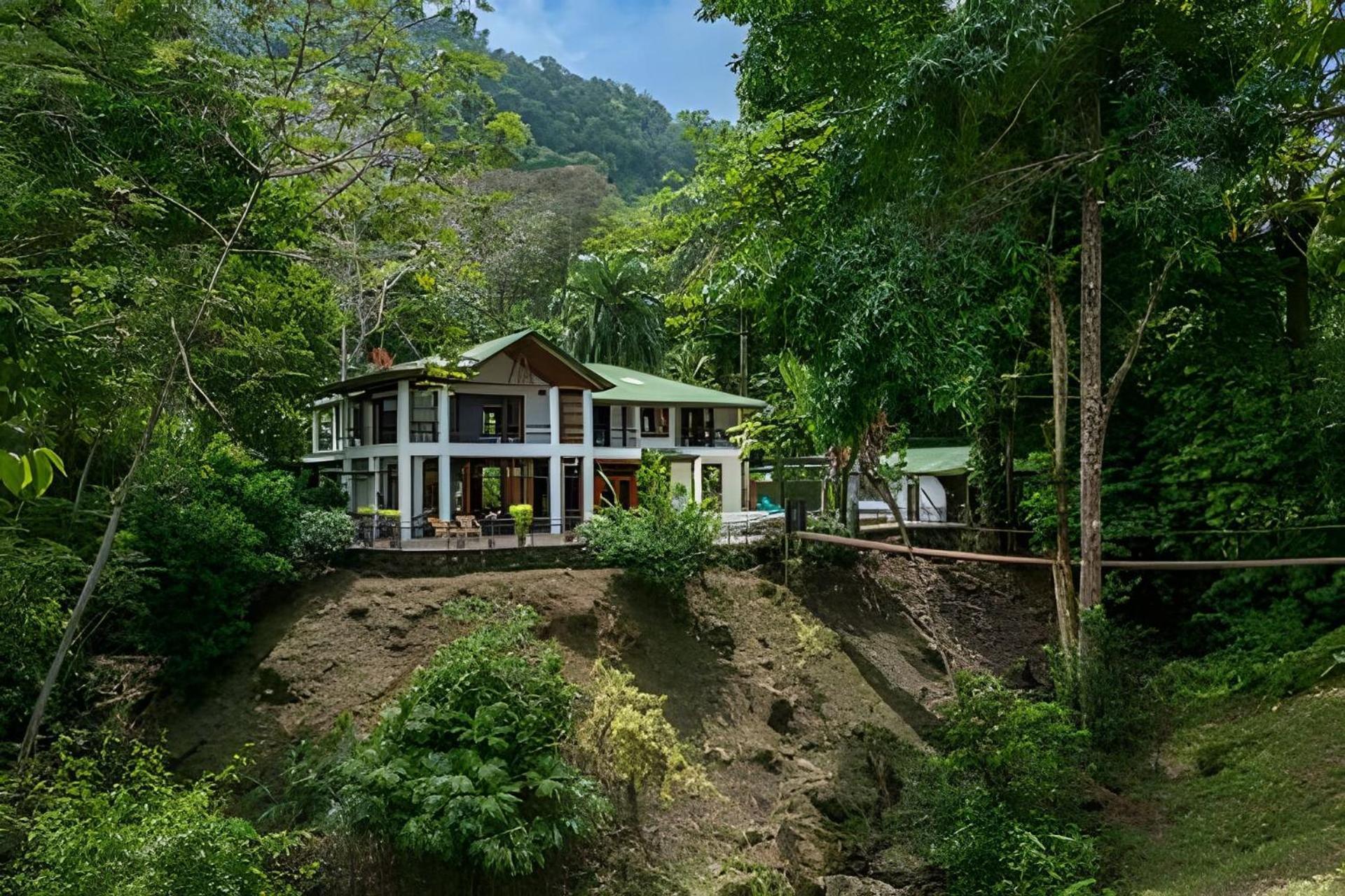 The Jungle Bed & Breakfast