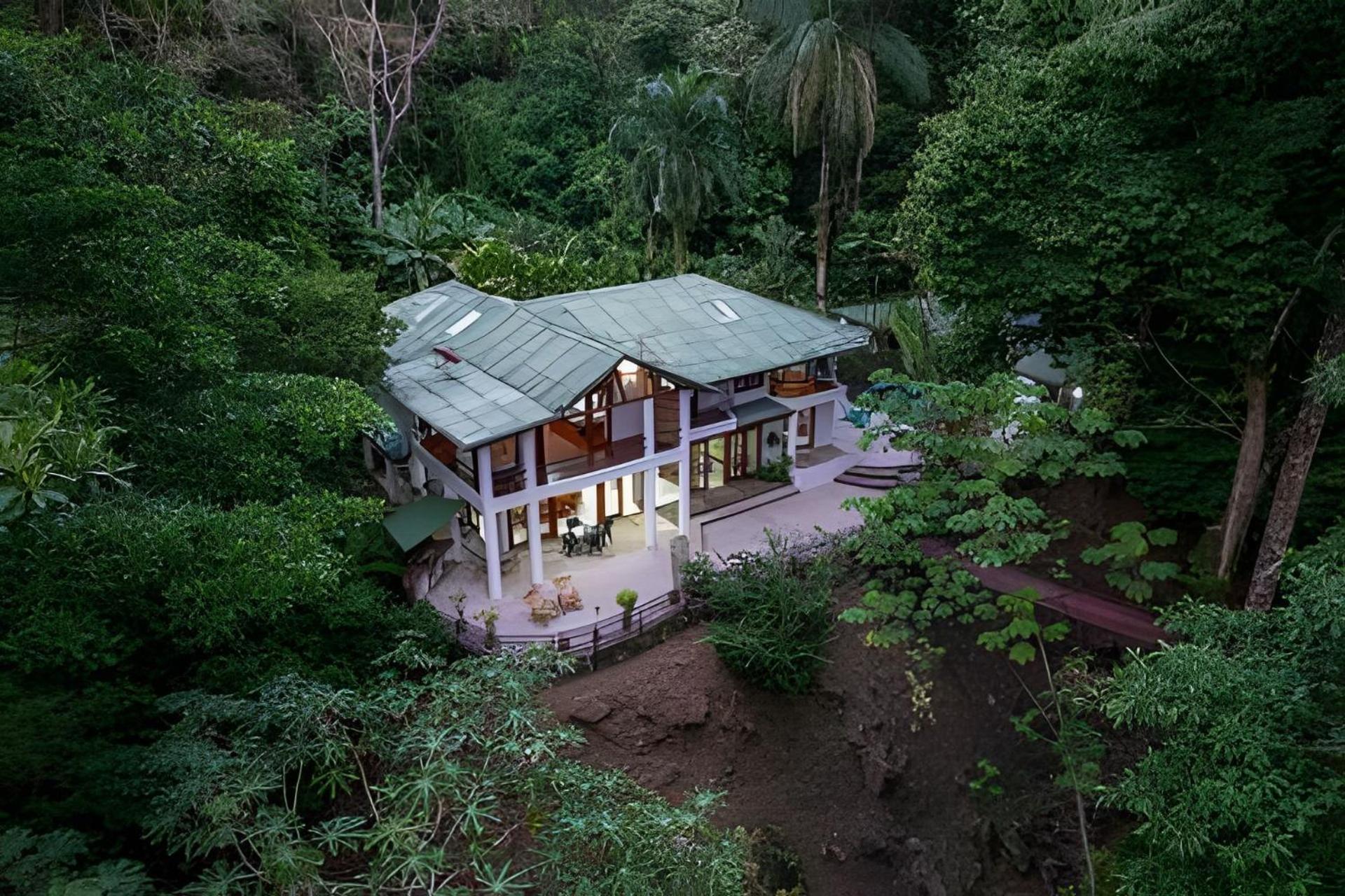 The Jungle Bed & Breakfast *