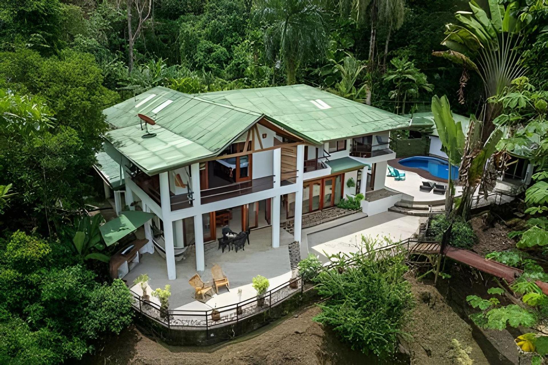 Bed & Breakfast The Jungle *