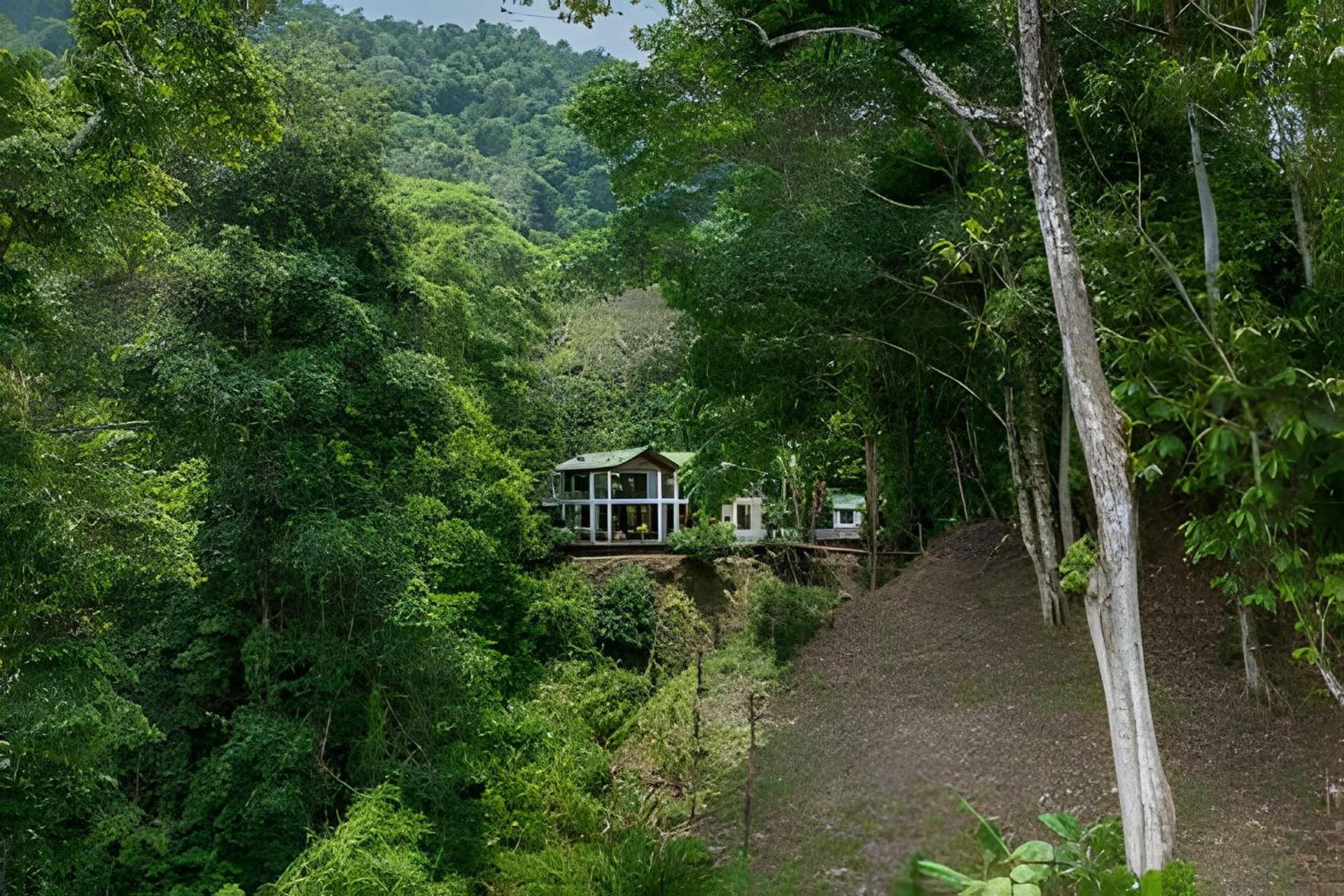 The Jungle Bed & Breakfast Dominicalito