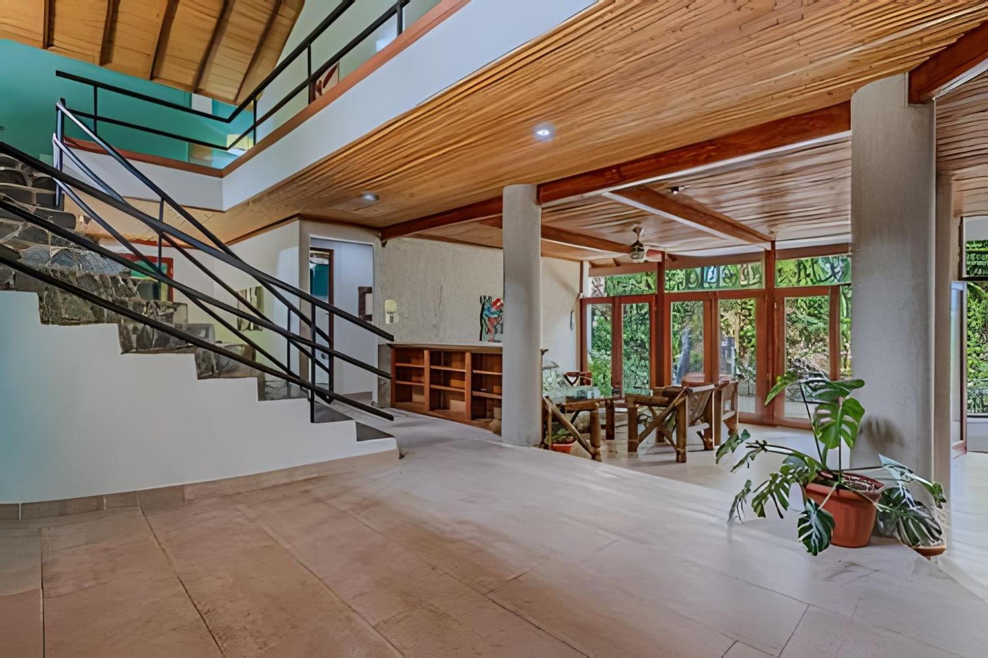The Jungle Bed & Breakfast