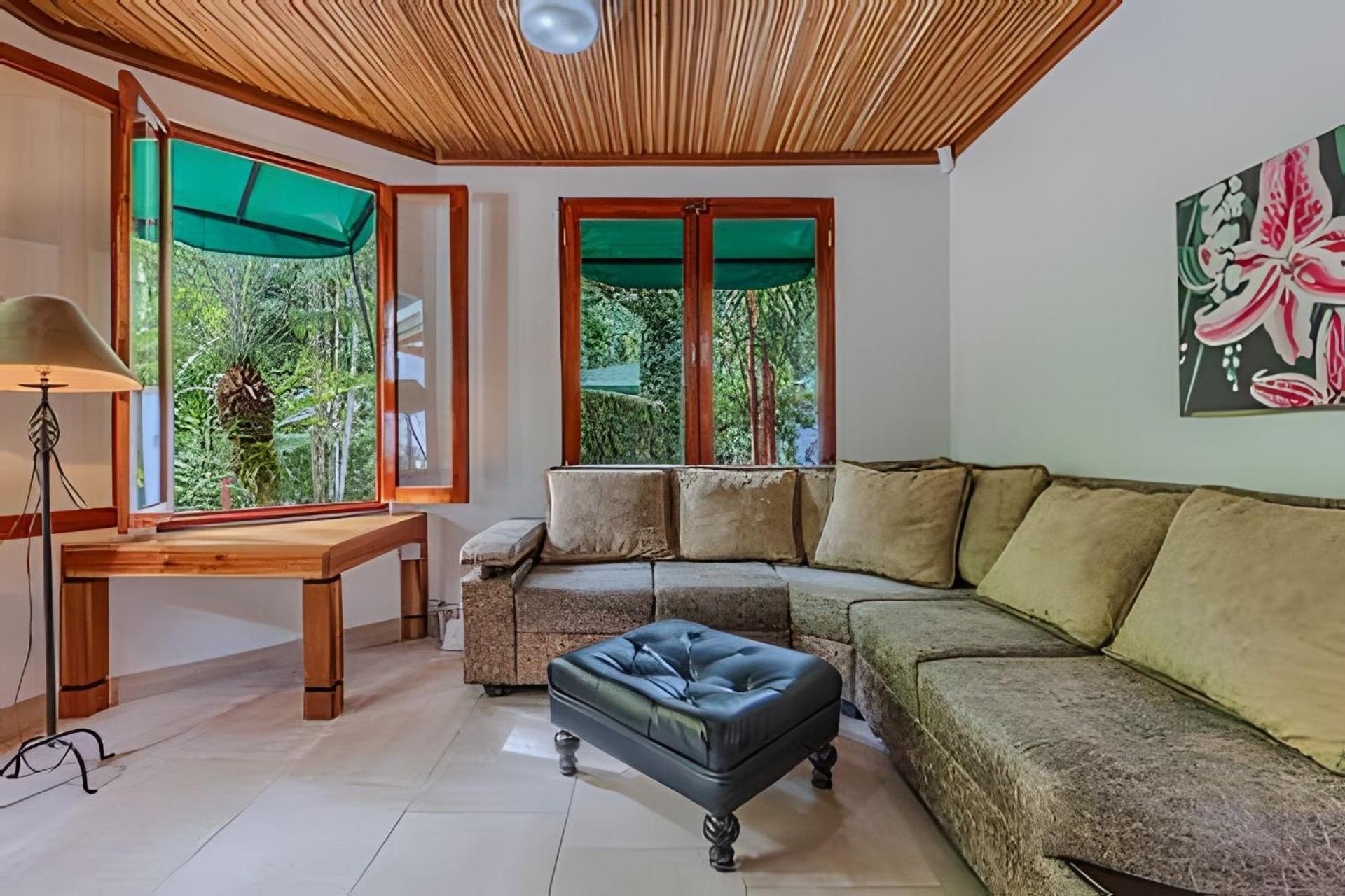 The Jungle Bed & Breakfast