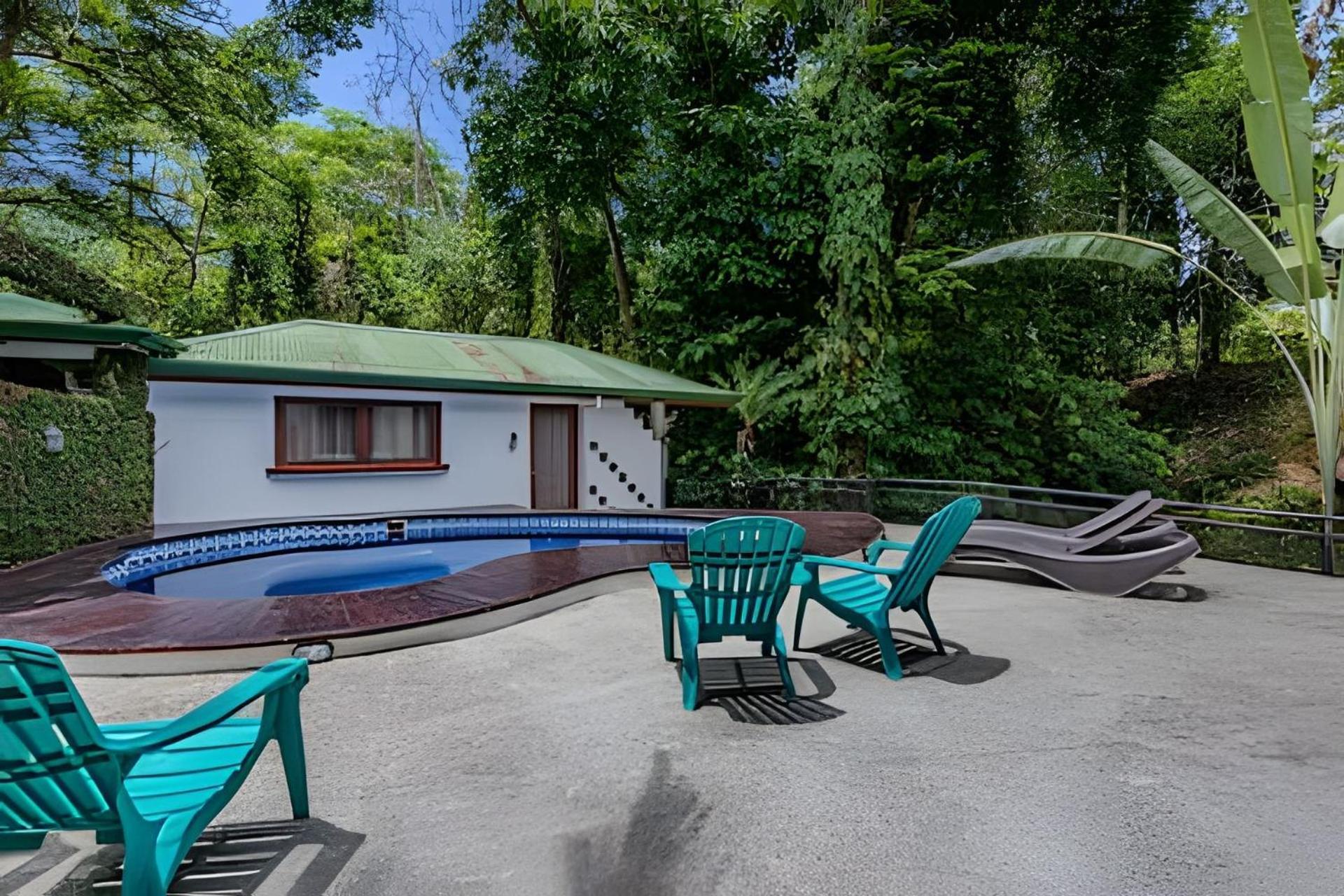 The Jungle Bed & Breakfast *