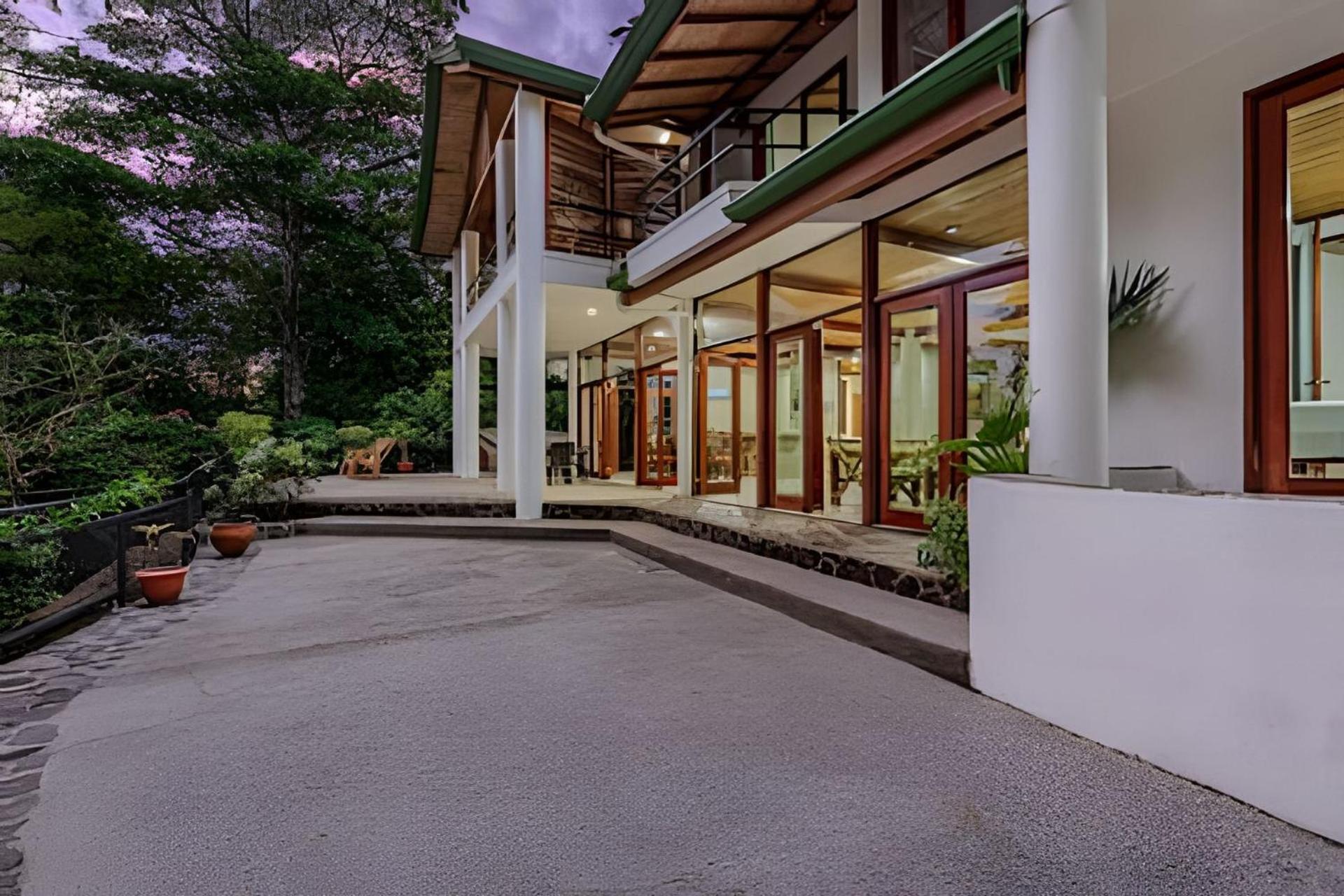 Bed & Breakfast The Jungle *