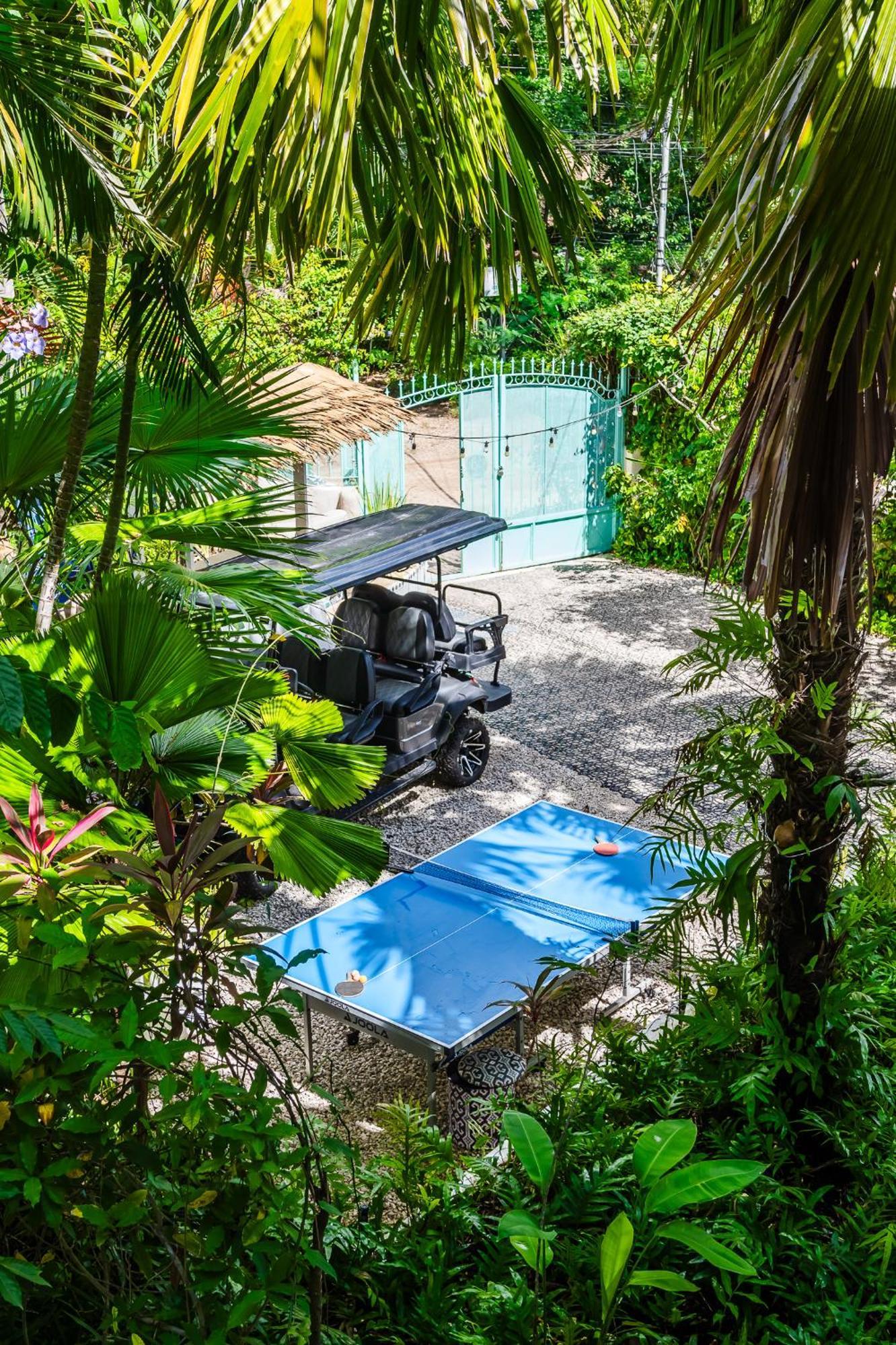 Hotel Casa Sueca - At The Tamarindo