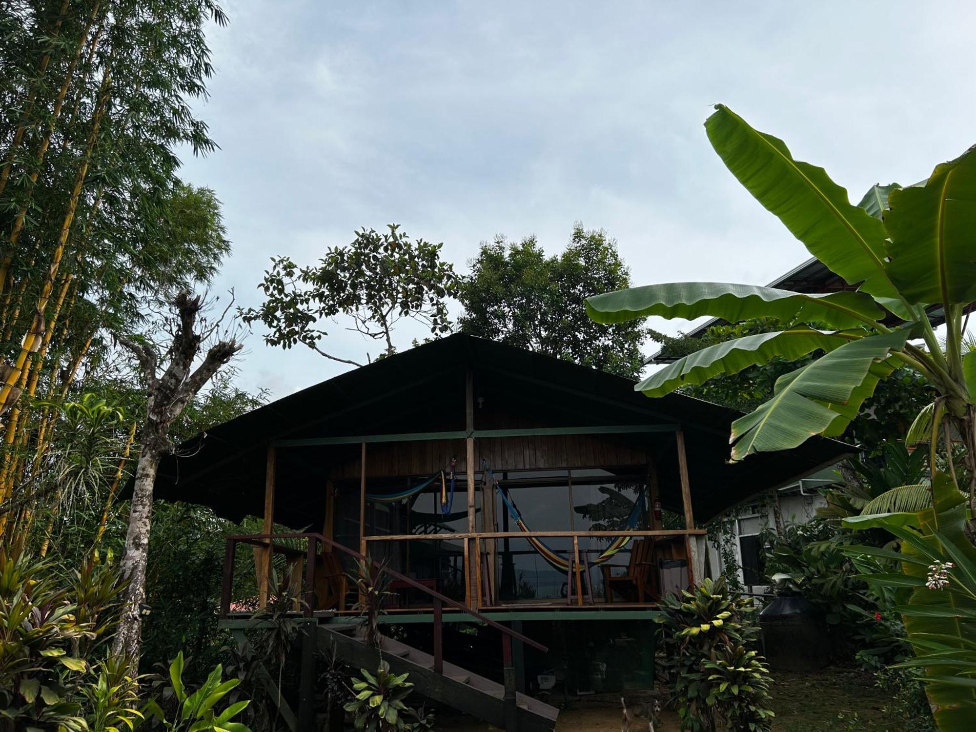 Bed & Breakfast Vistadrake