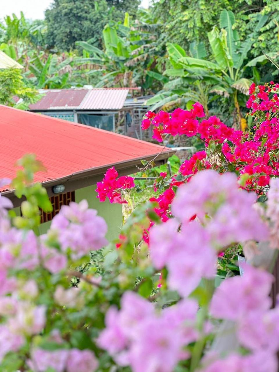 Hotel La Fiore De Bahia Uvita