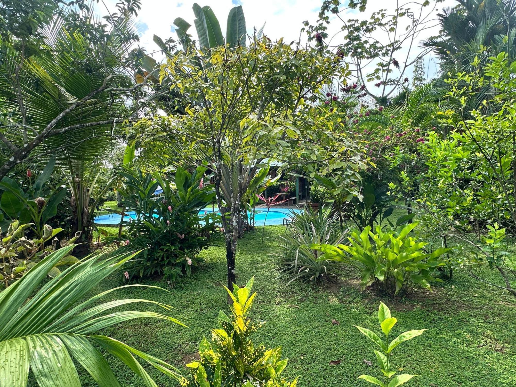 Oasis Retreat With And Holiday home Uvita