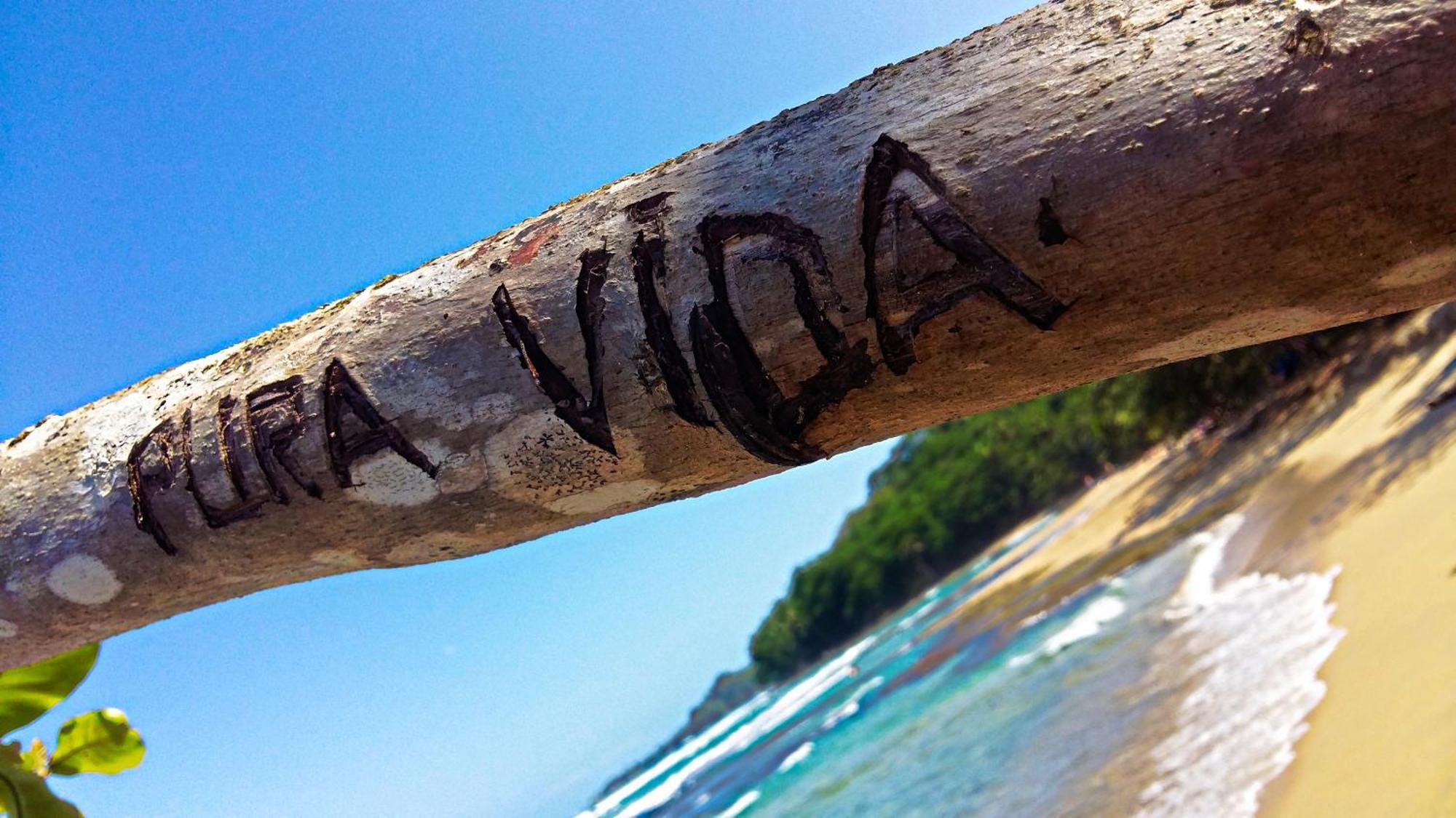 Roca Boutique & - Adult Only Manuel Antonio